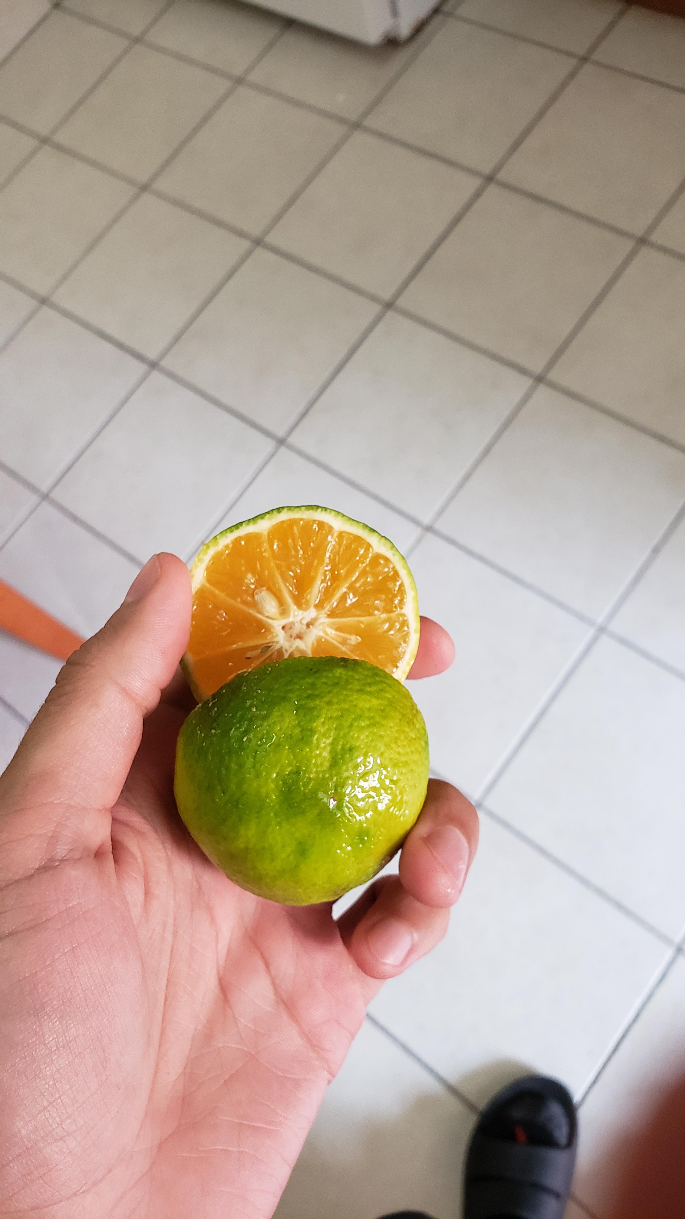 My lime that's orange inside r/mildlyinteresting