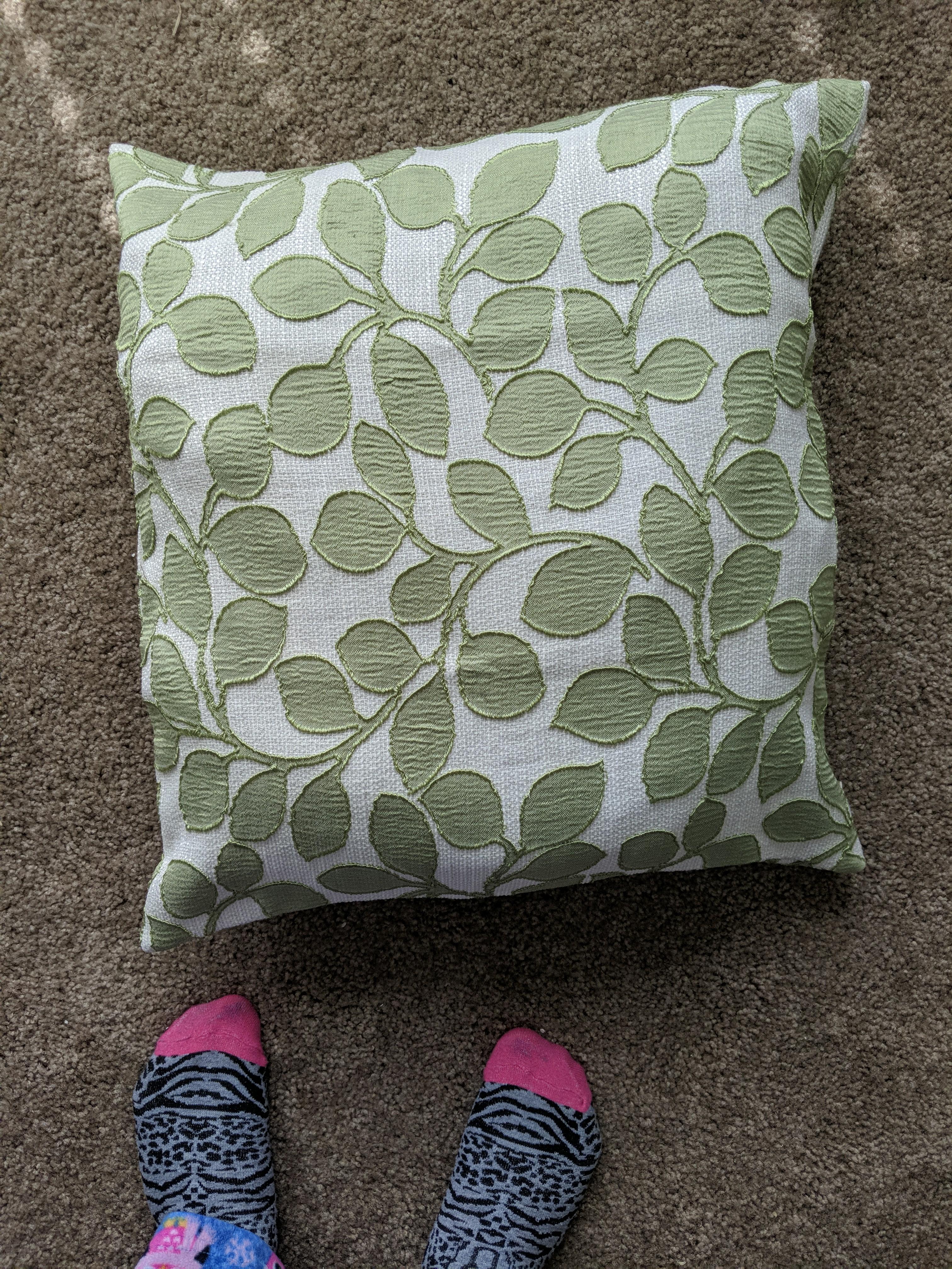 This may not seem significant however inside this pillow case was my