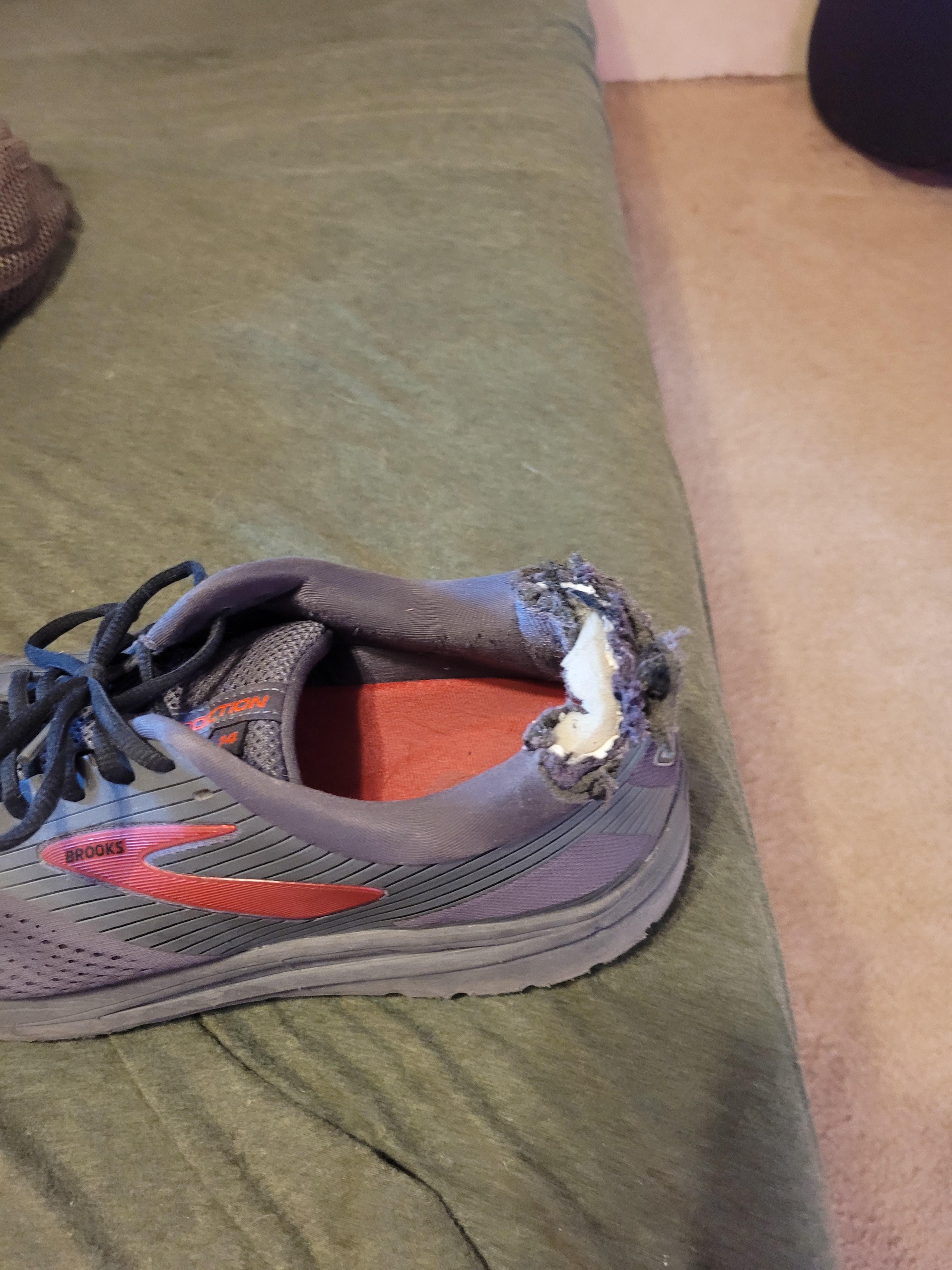 Dog chewed my sneaks, any ideas on how to repair? r/Sneakers