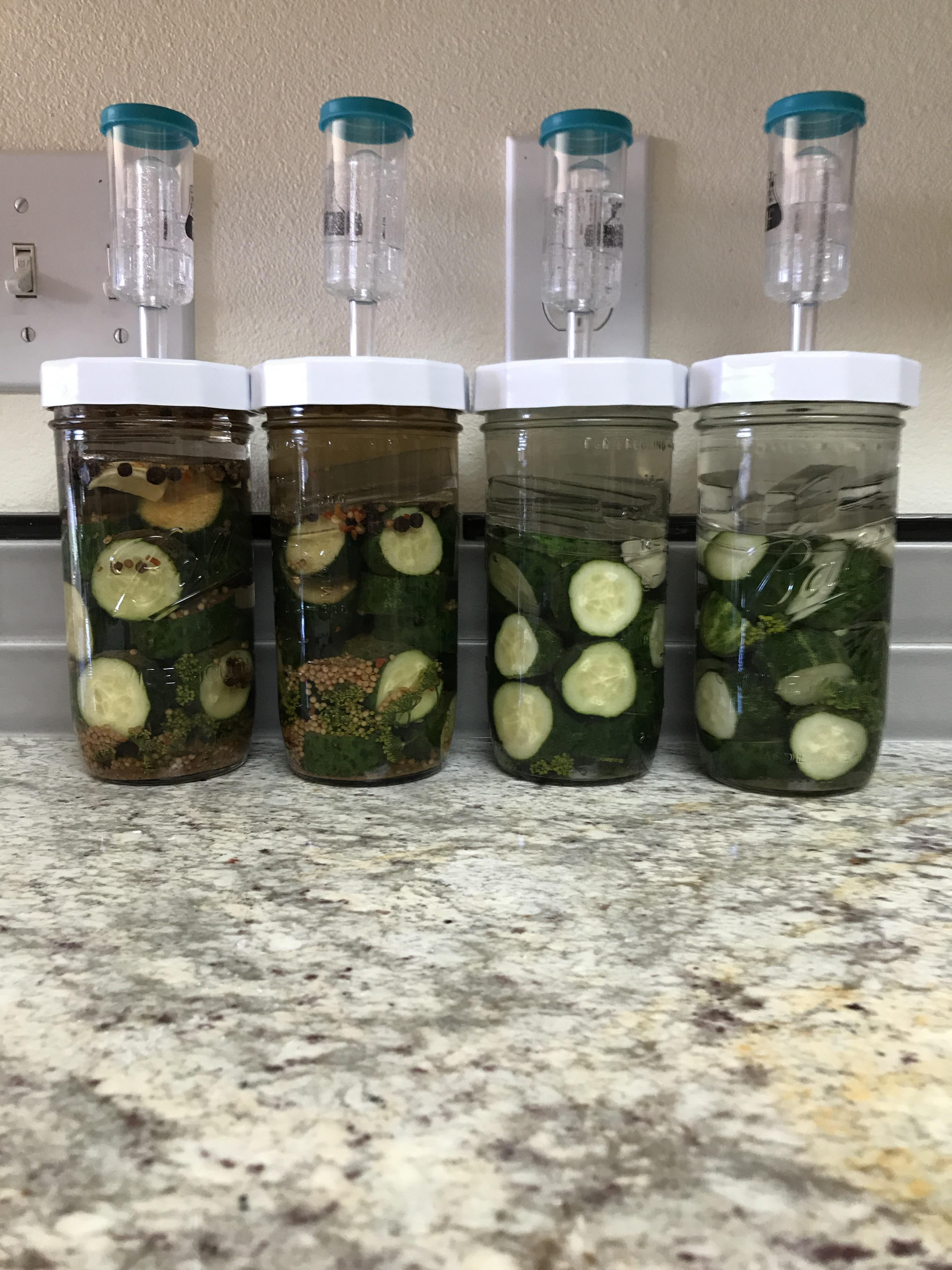 Making sour pickles r/fermentation