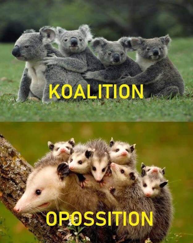 Which side are you? I prefer Koalition r/funny