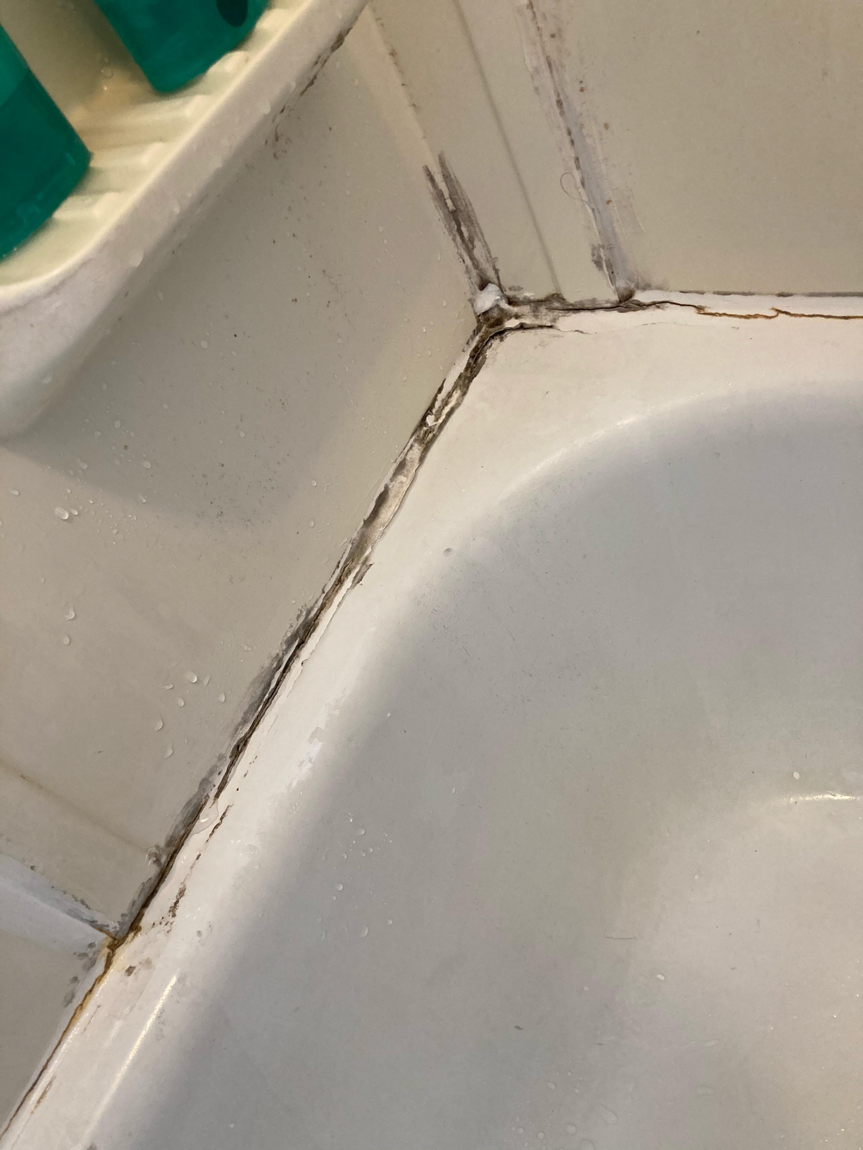 Is this shower mold or just gunk? r/CleaningTips