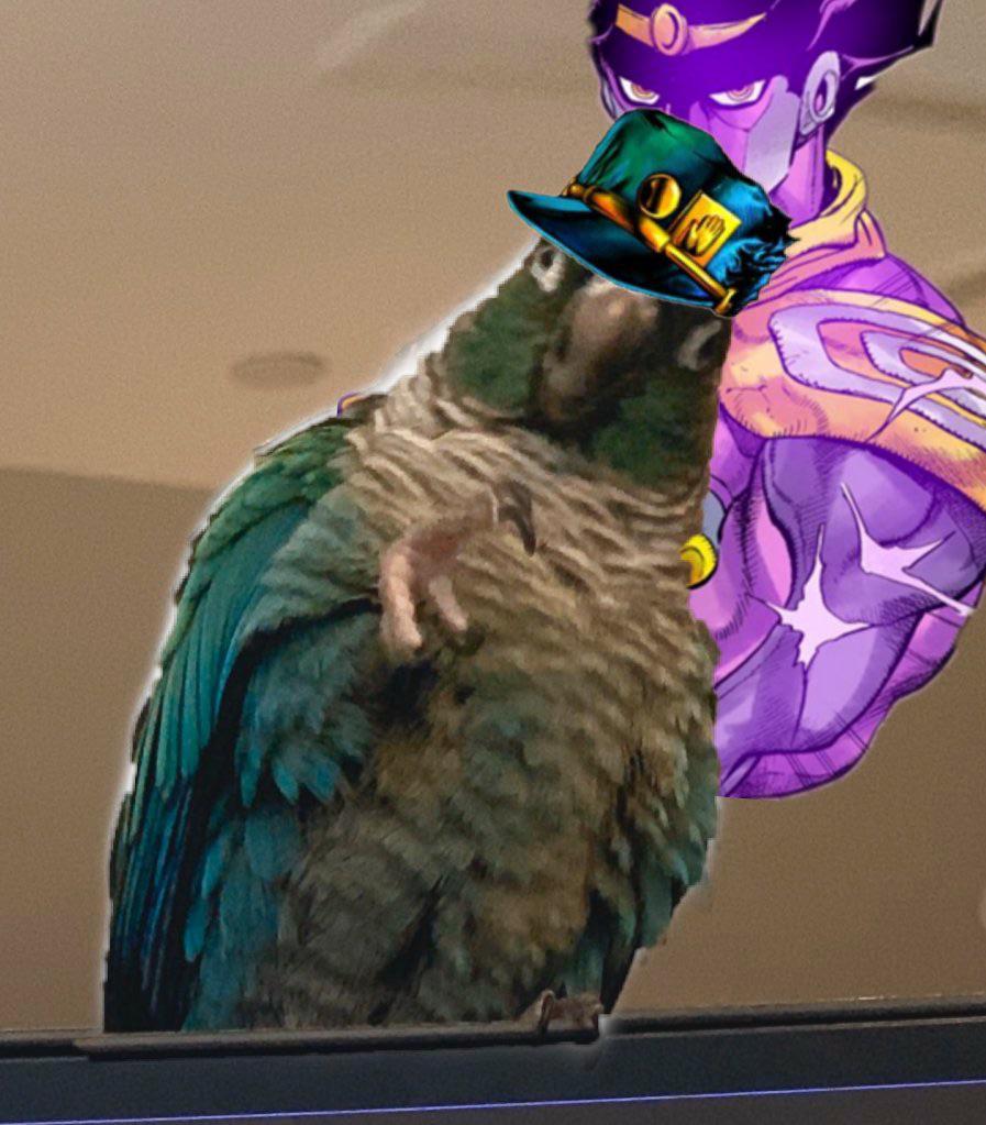JoJo’a Bizarre Adventure Bird Crusaders r/ShitPostCrusaders