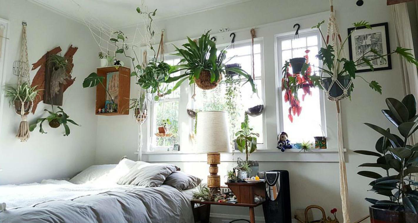 Bedroom feels // indoor garden r/Portland
