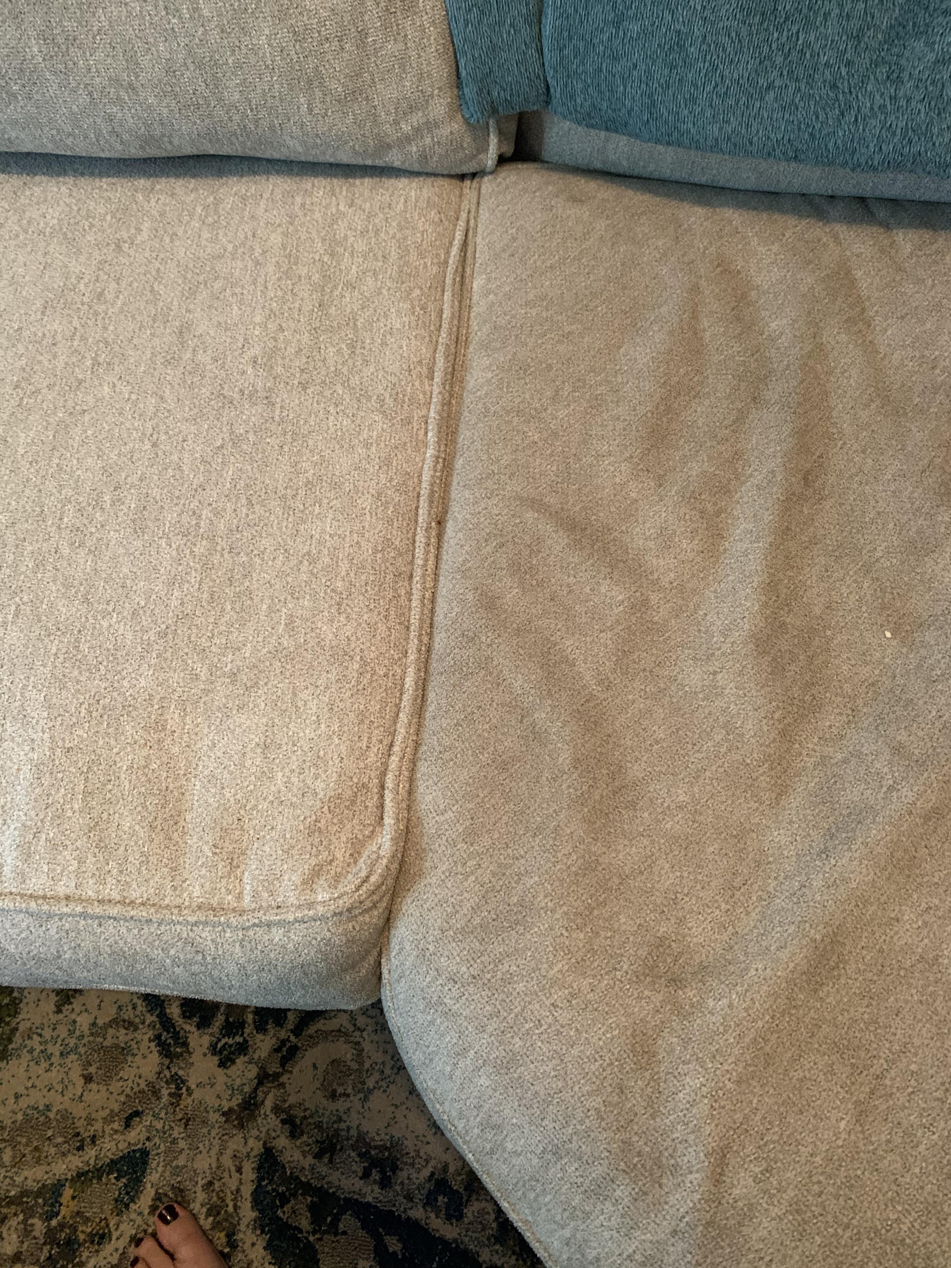 I flipped a couch cushion and realized how dirty my other cushions are