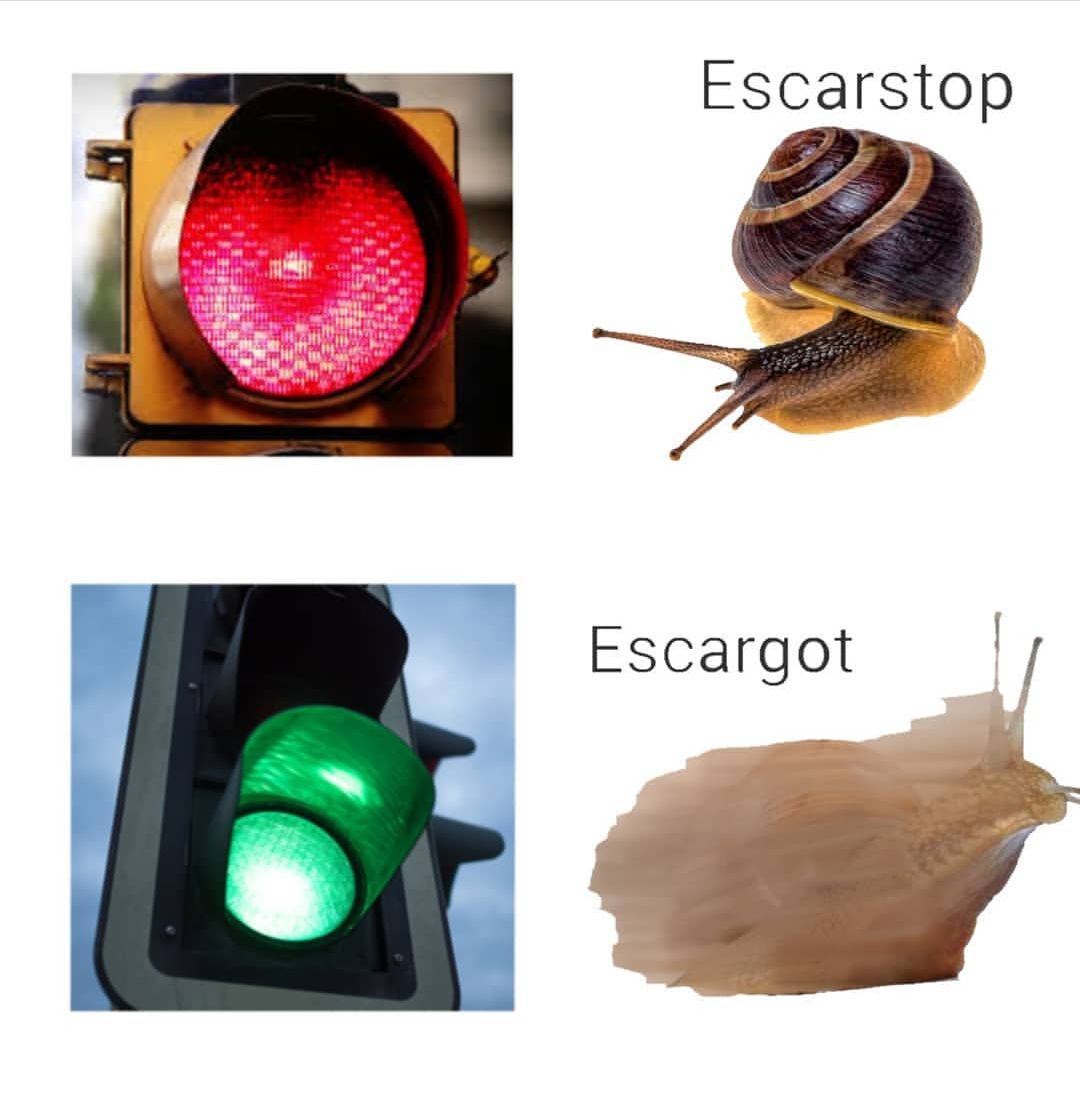 Turbo was a movie about a fast snail memes