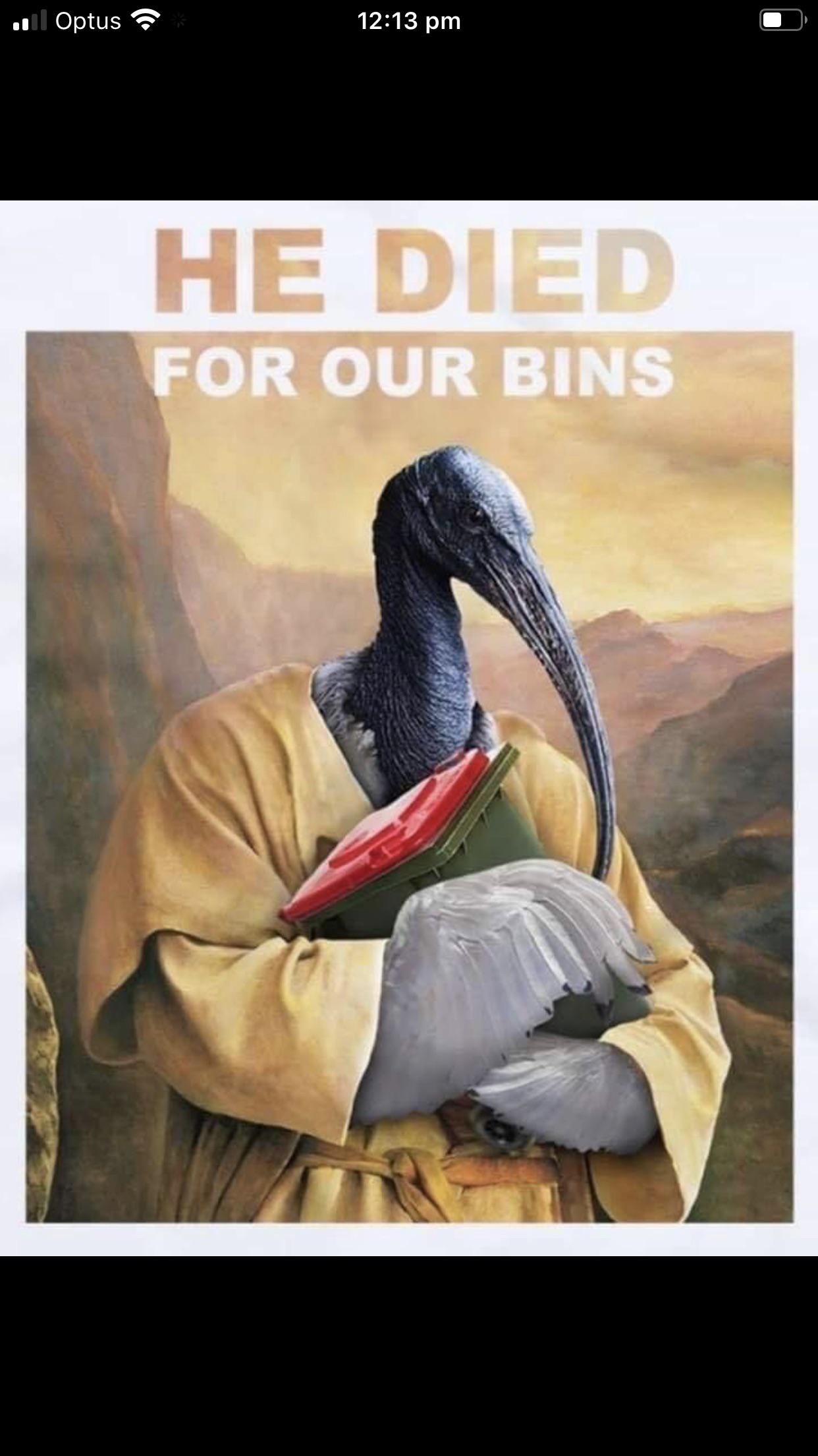 Swearing is allowed here. We swear in the name of the Aussie icon, the