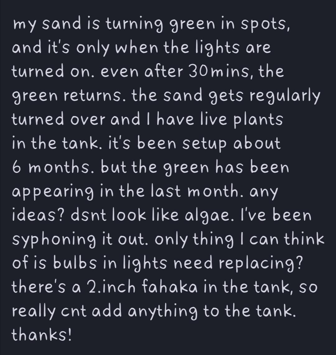 sand turning green! r/Puffers