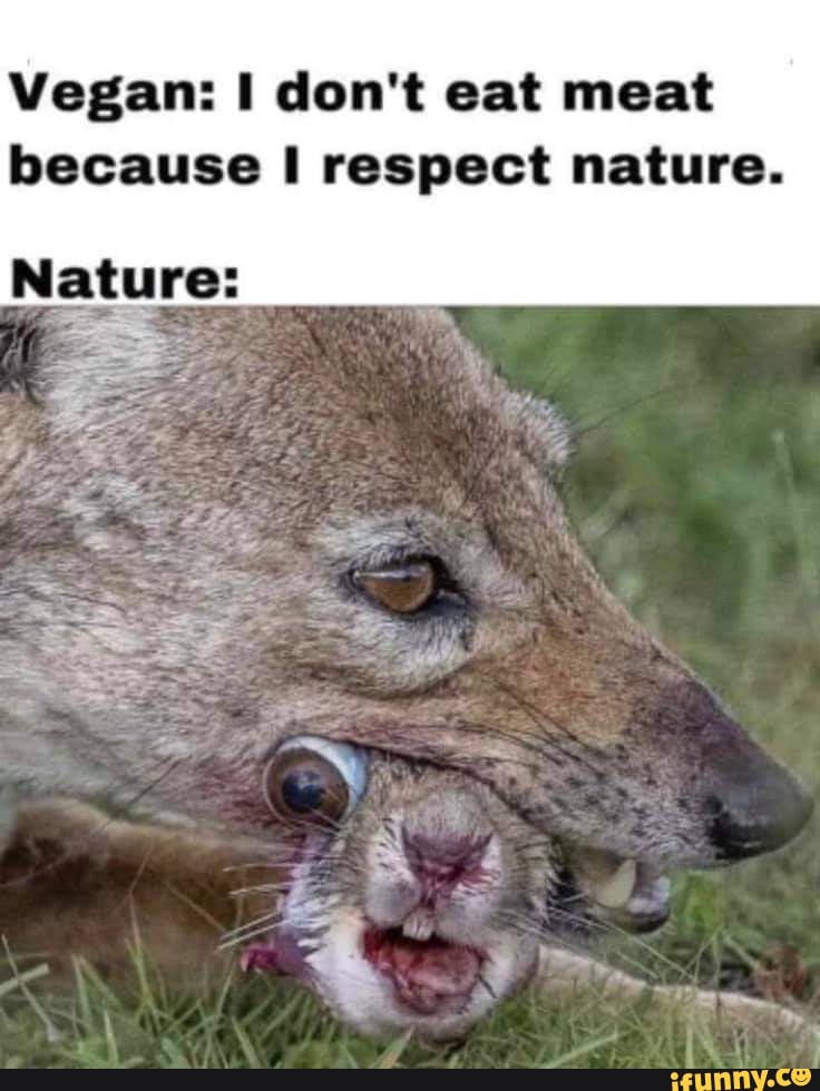 Vegan bad ComedyCemetery