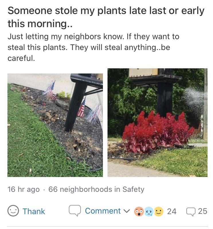 Someone stole a neighbor’s plants nextdoor