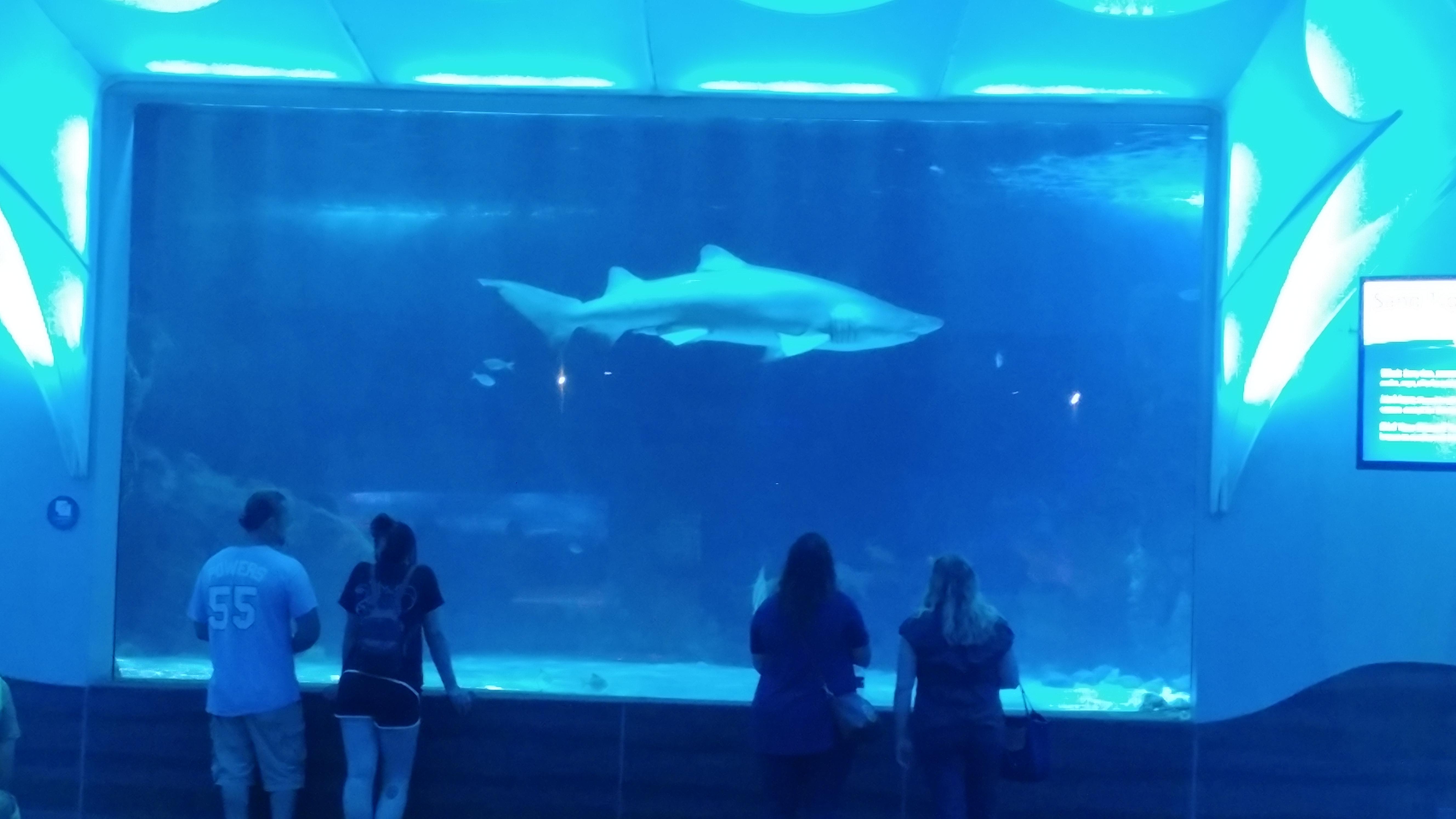 Hello Newport KY. r/Aquariums