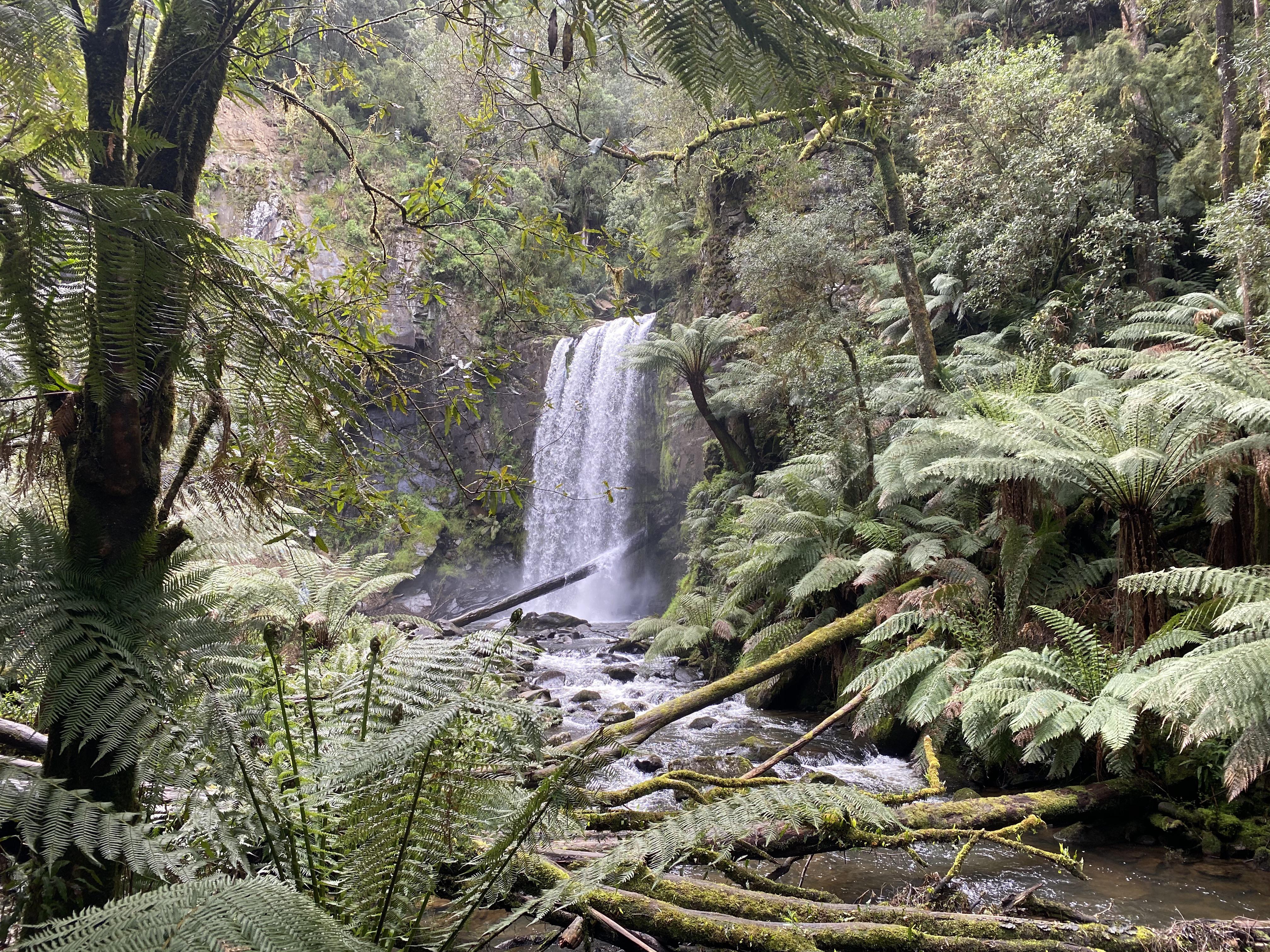 Hopetoun falls Victoria r/australia
