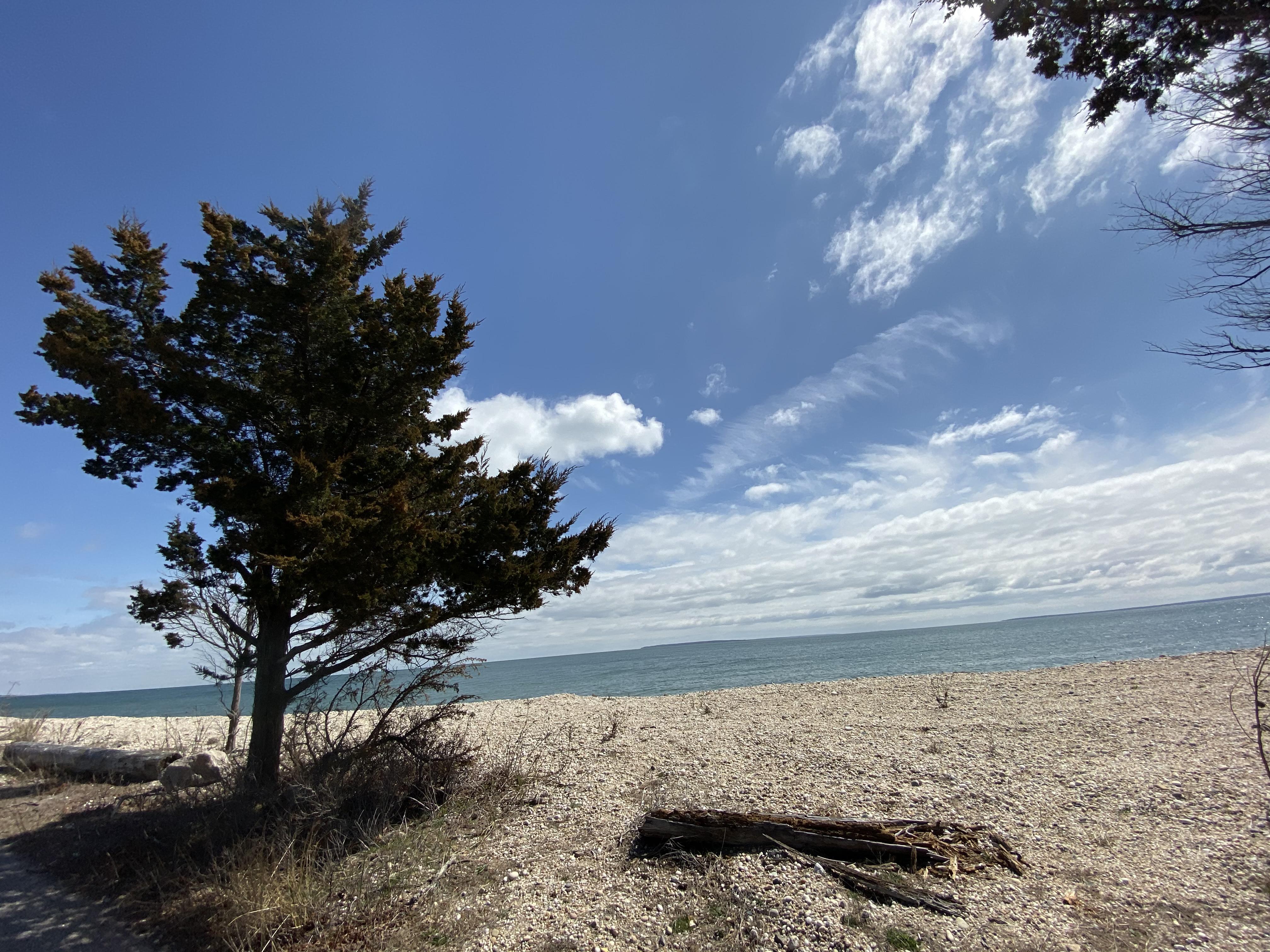 iPhone 11 Orient Point, Long Island, NY. r/iPhoneography