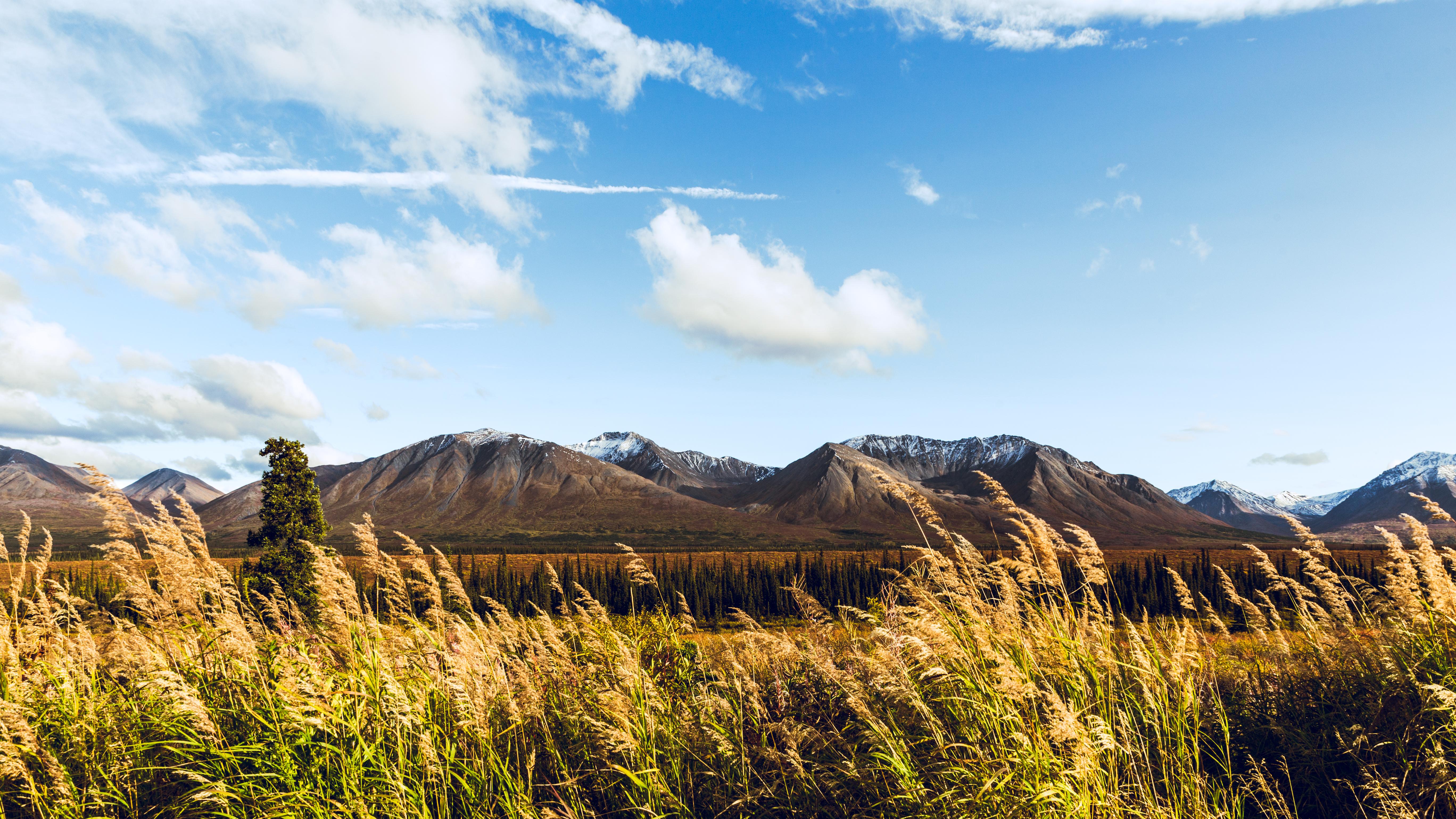 A Windy Valley in Denali National Park [OC] (5472x3078) r/EarthPorn