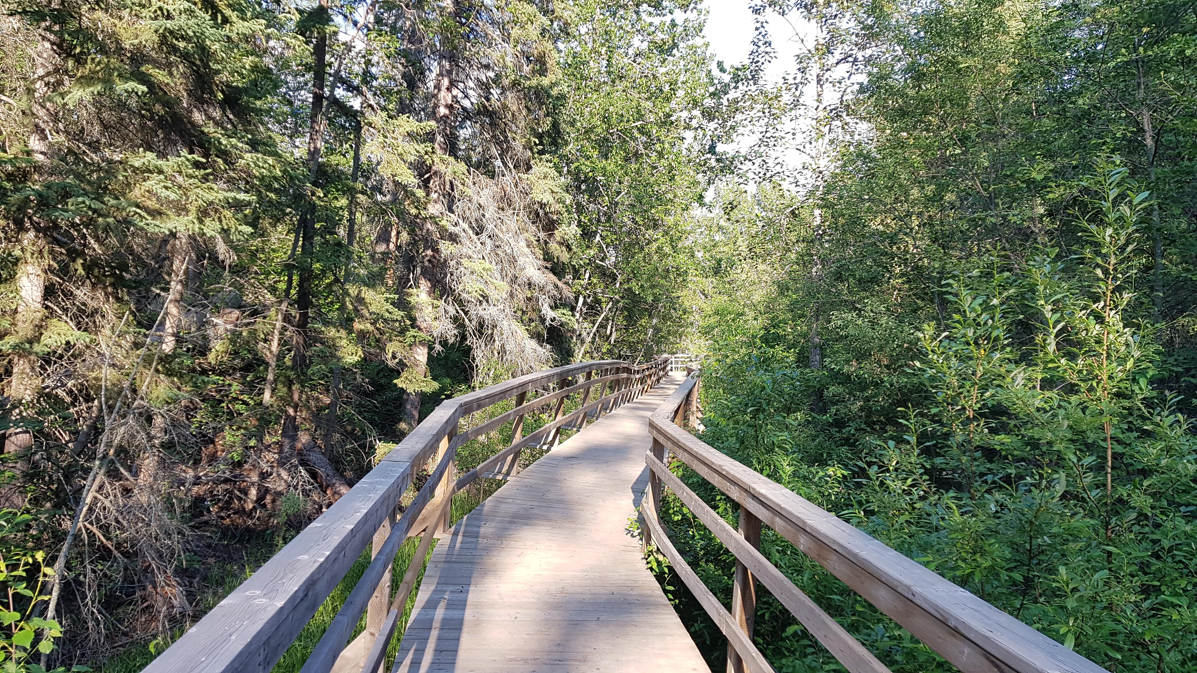 There's so many unique trails to explore in our river valley. r/Edmonton