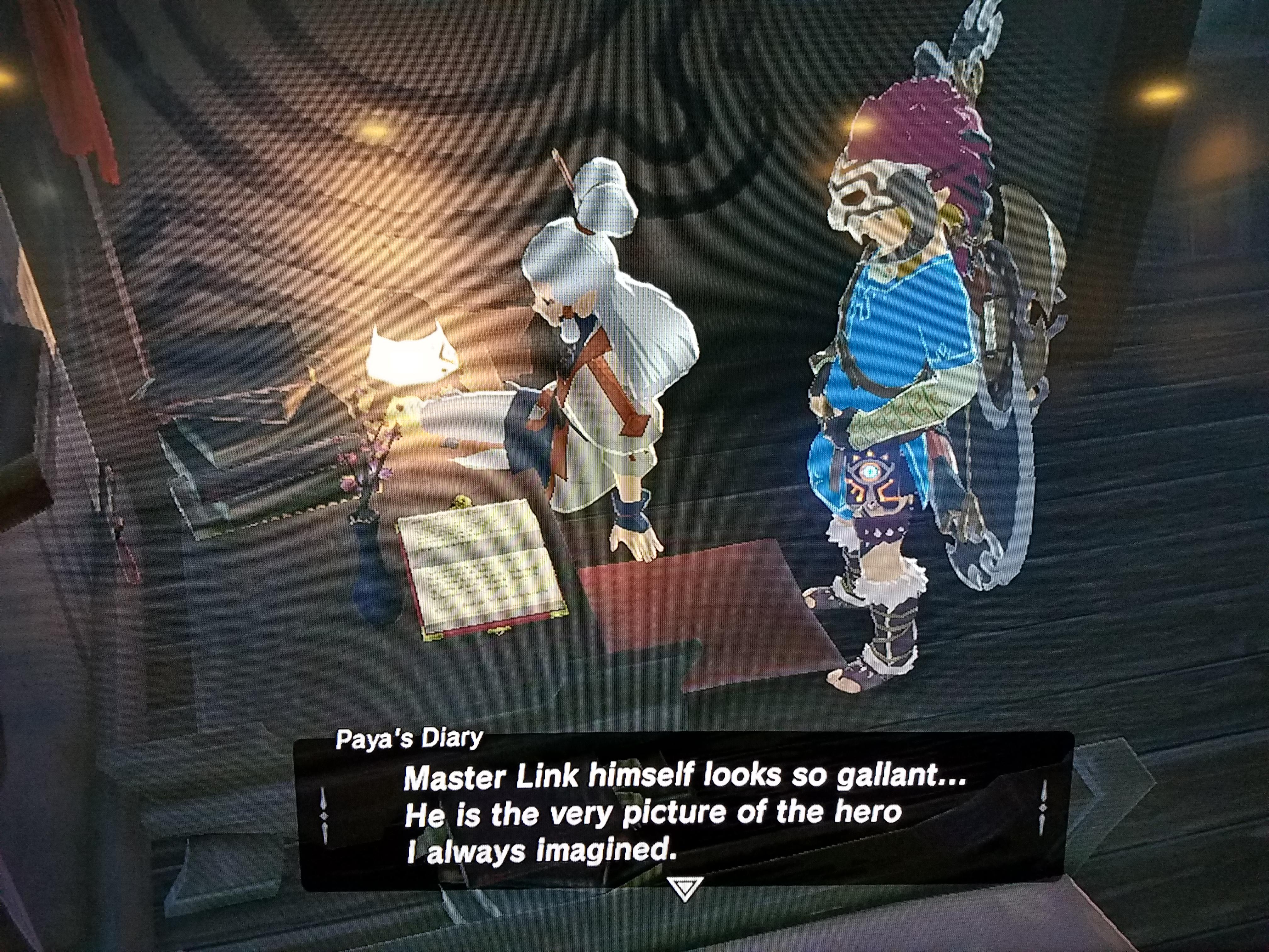 167 best Paya images on Pholder Breath Of The Wild, Zelda and Singapore