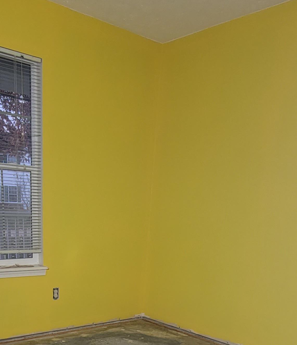 Cut edges are darker than rolled paint r/Housepainting101