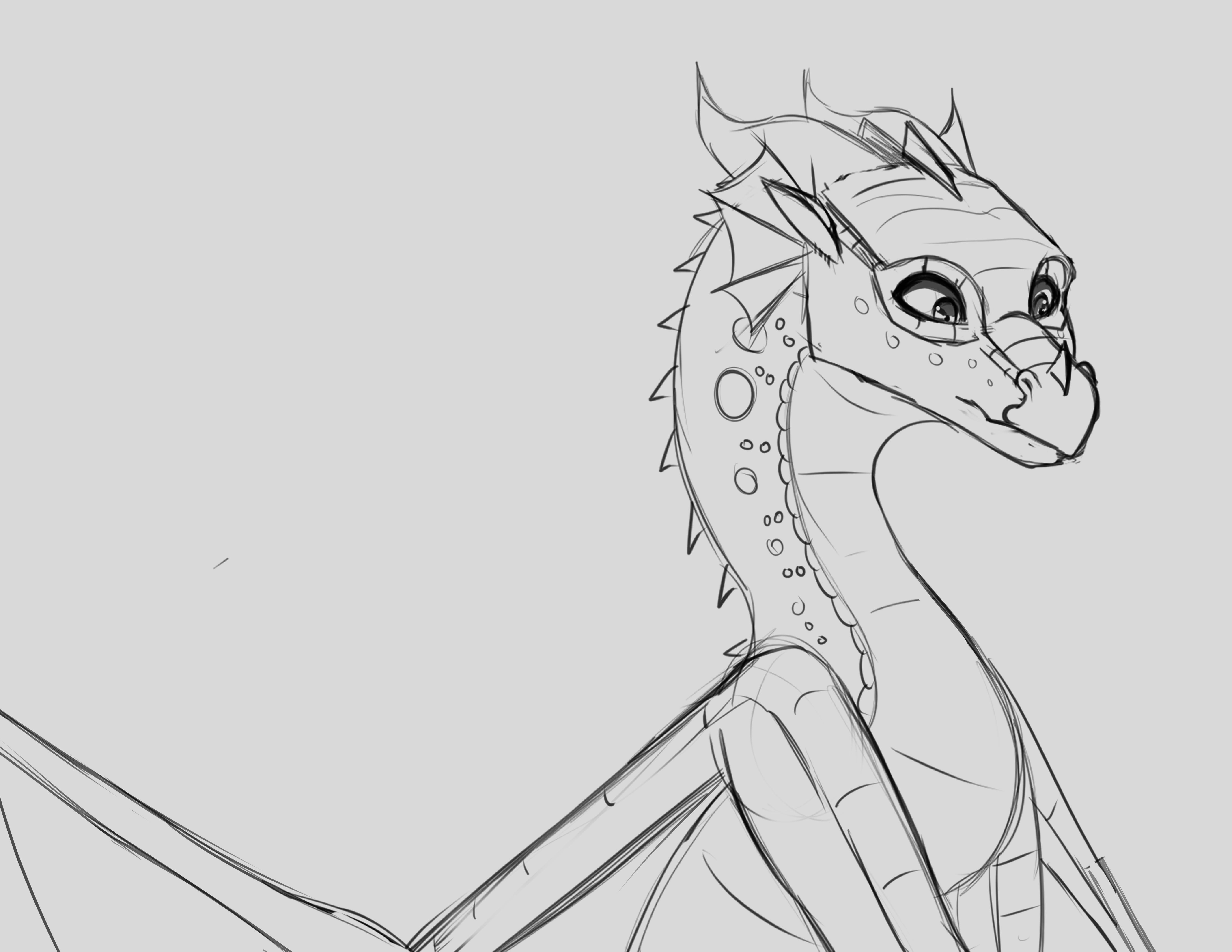 My oc supernova WingsOfFire