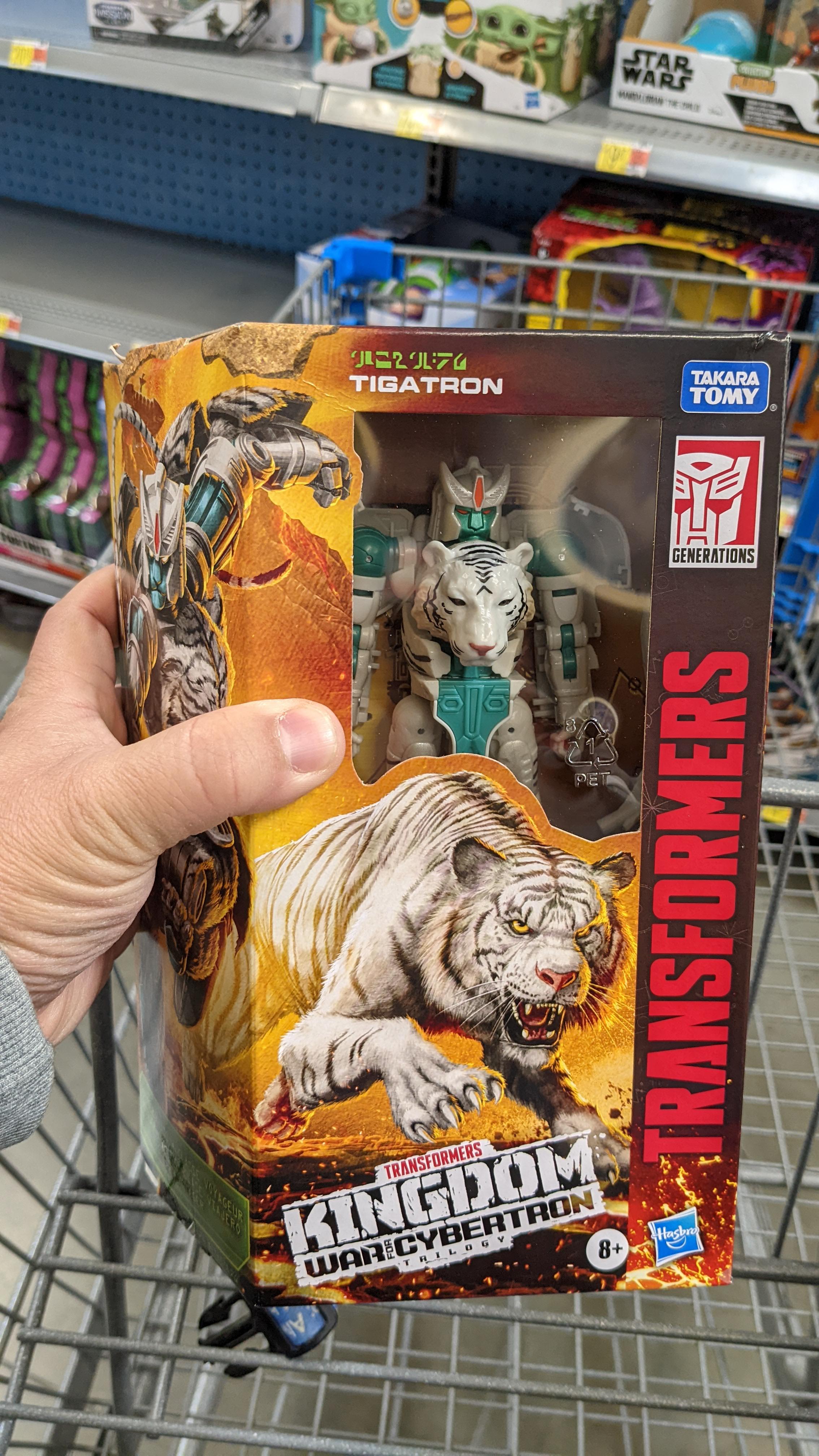 Caught a tiger r/transformers