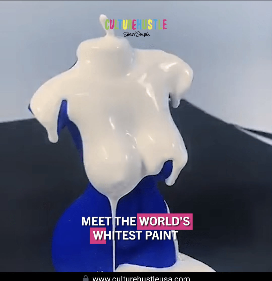 The world's whitest paint r/theyknew