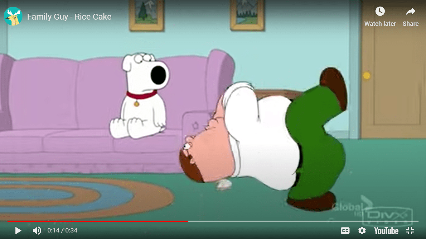 Never Pause Family Guy Rice Cake r/familyguy
