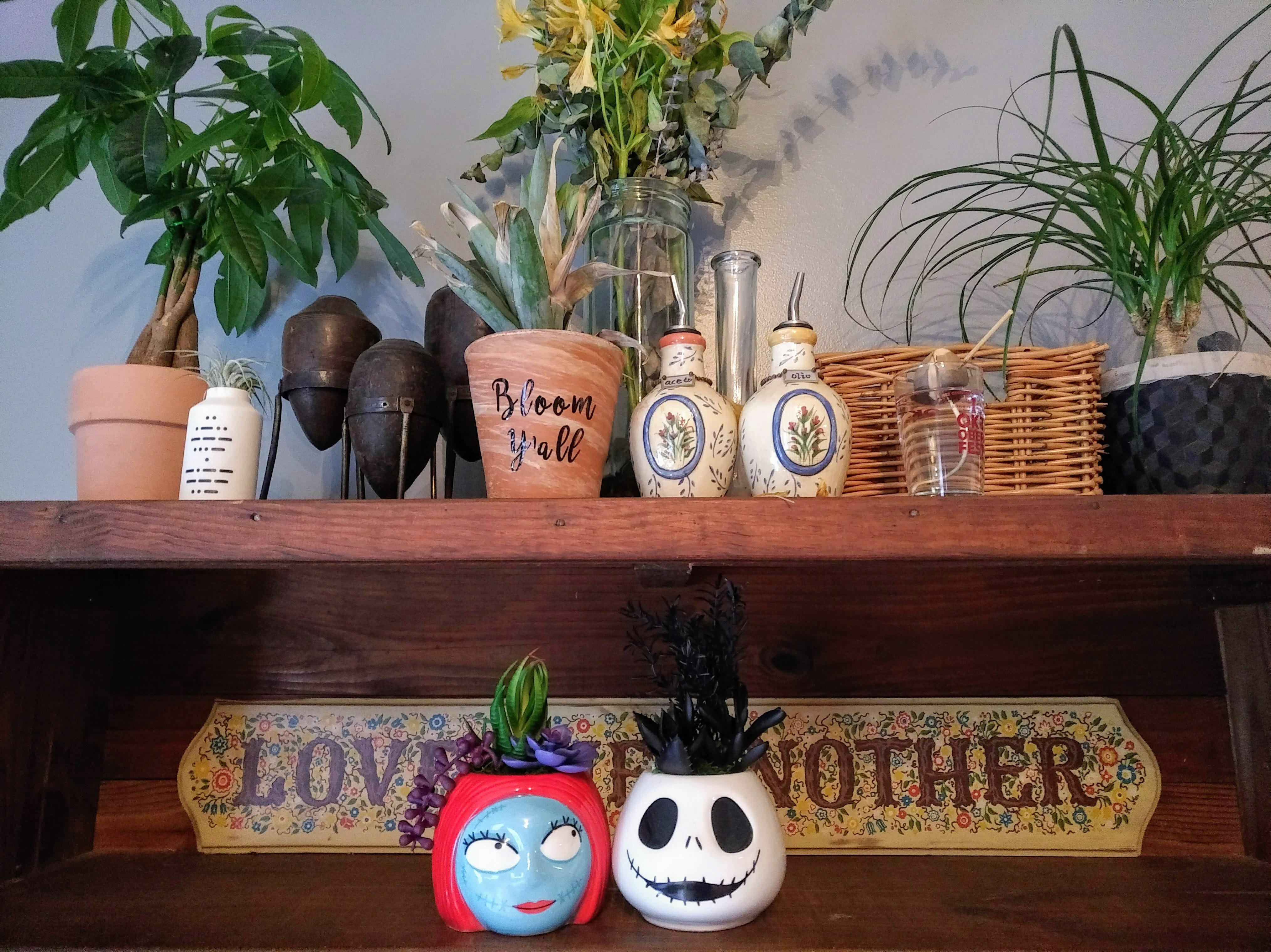 Not a fan of the fakes but those pots though 😍 r/gardening