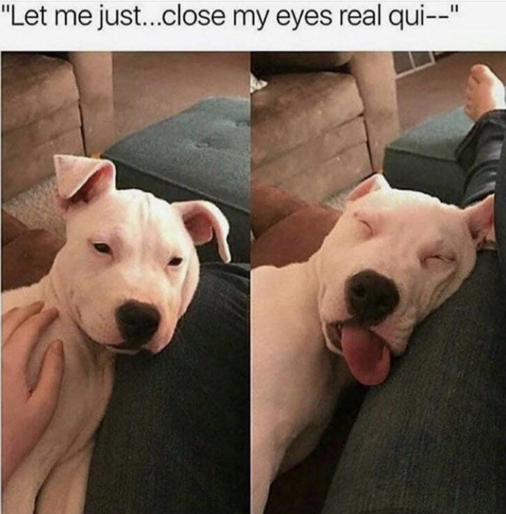 Sixty Seconds Later... memes