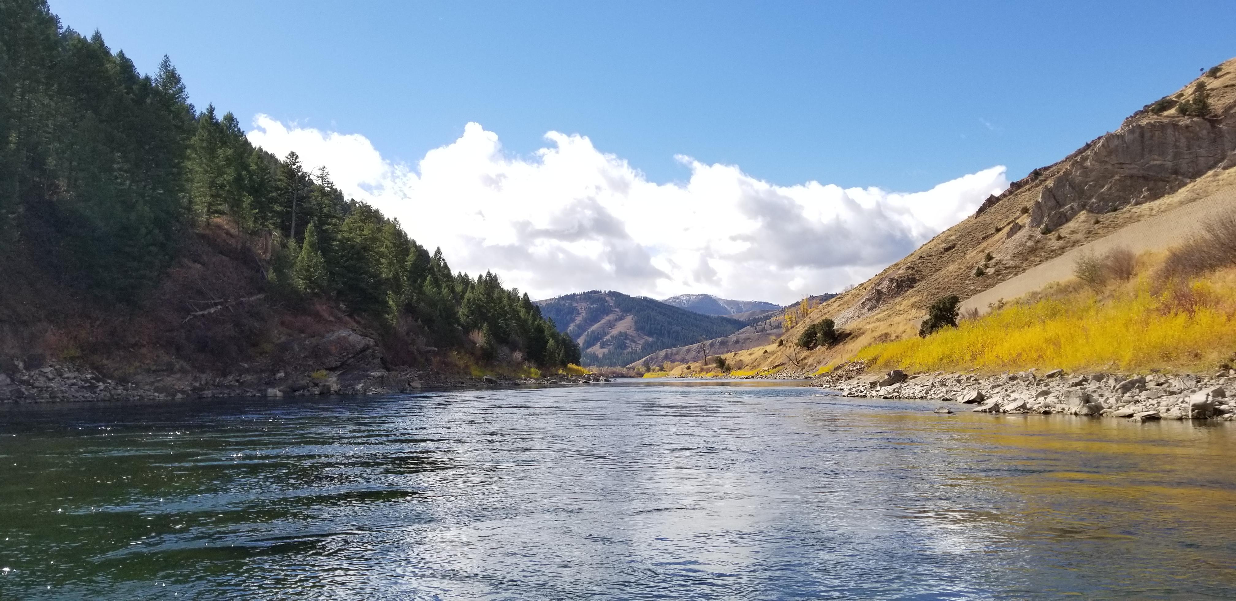 Snake River Jackson Hole WY [0C] [4032x1960] r/EarthPorn