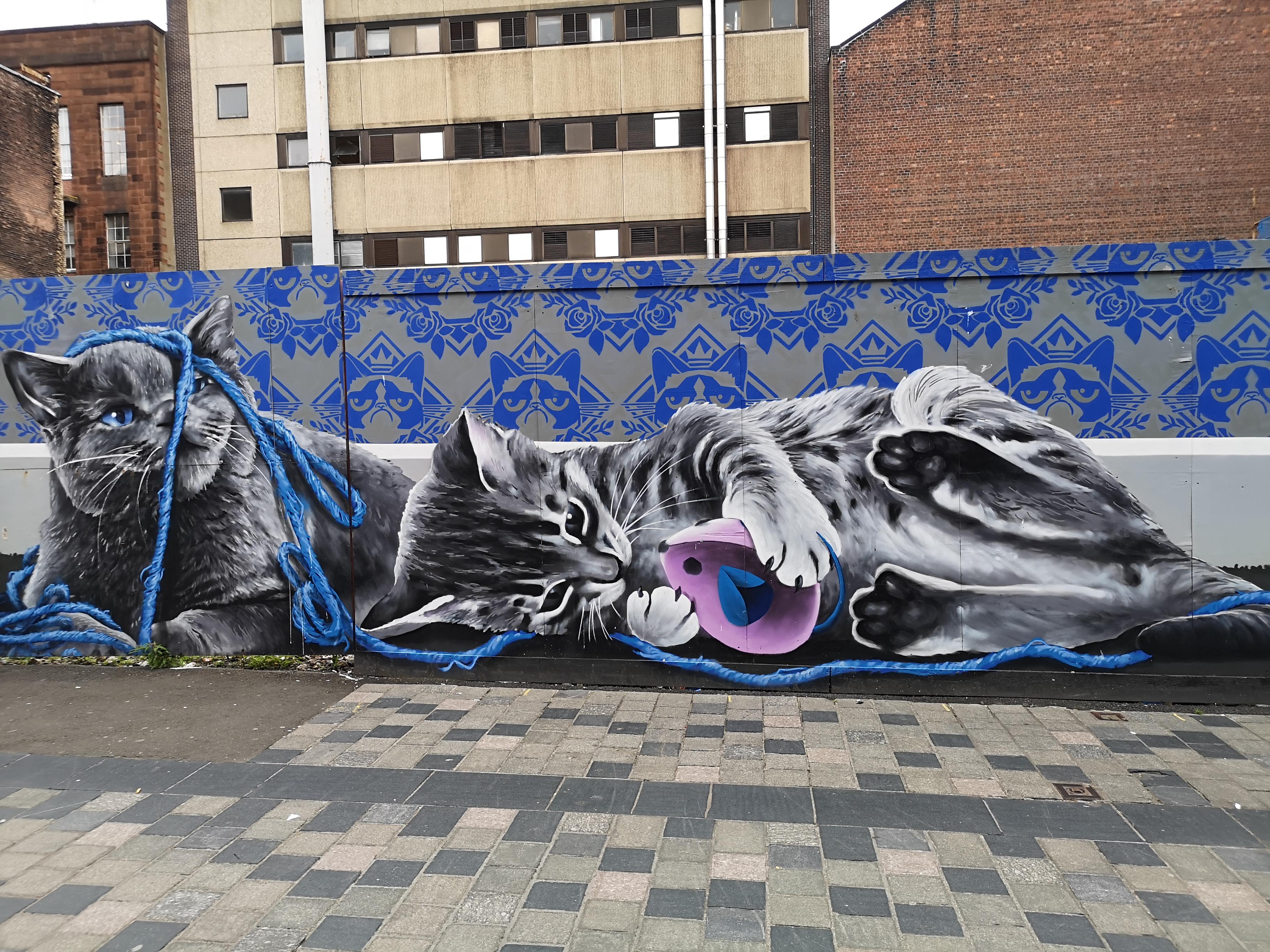 Cat mural in Glasgow, Scotland r/pics
