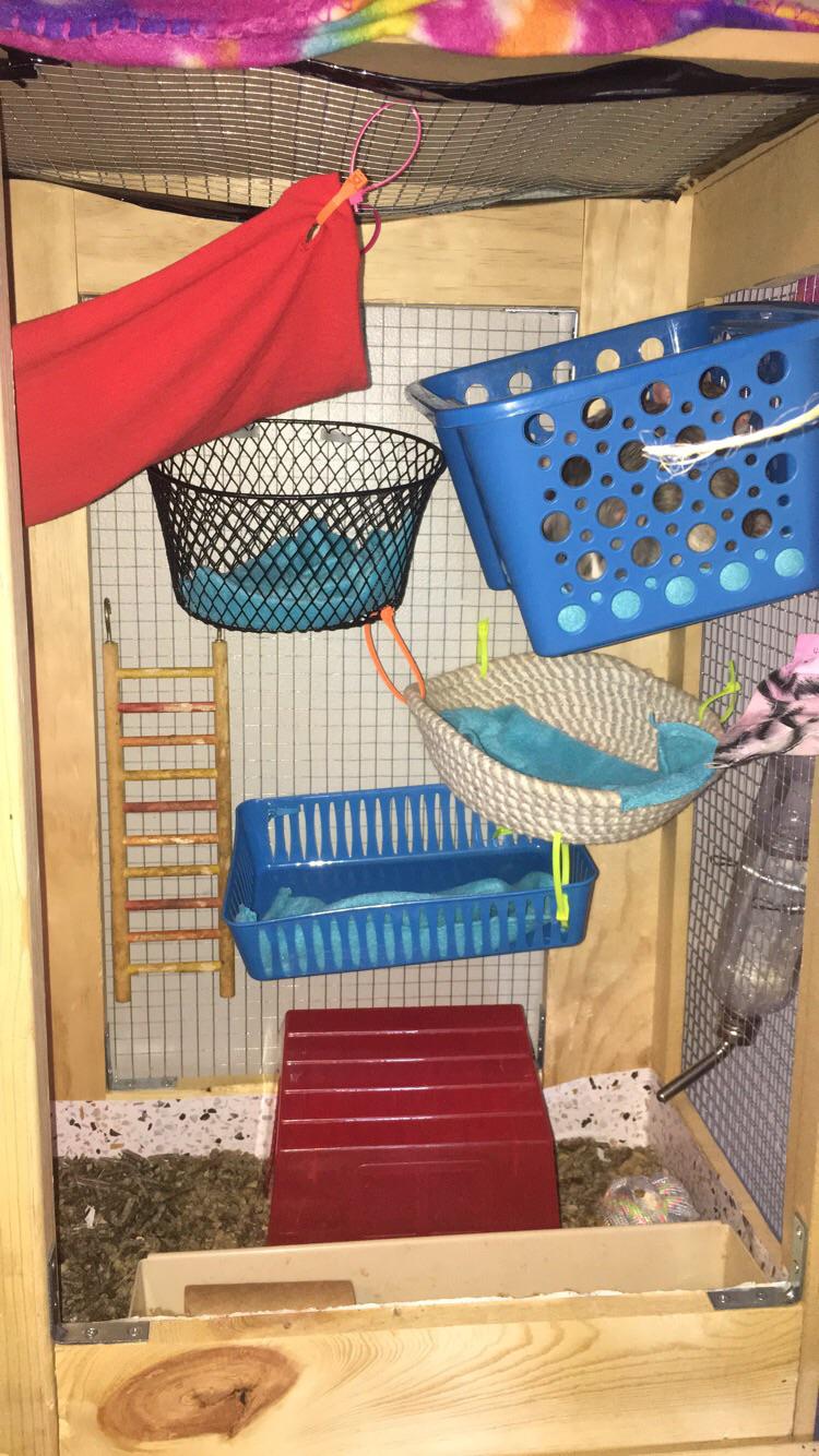 bedding preference? i use fleece for their baskets and ‘yesterday’s