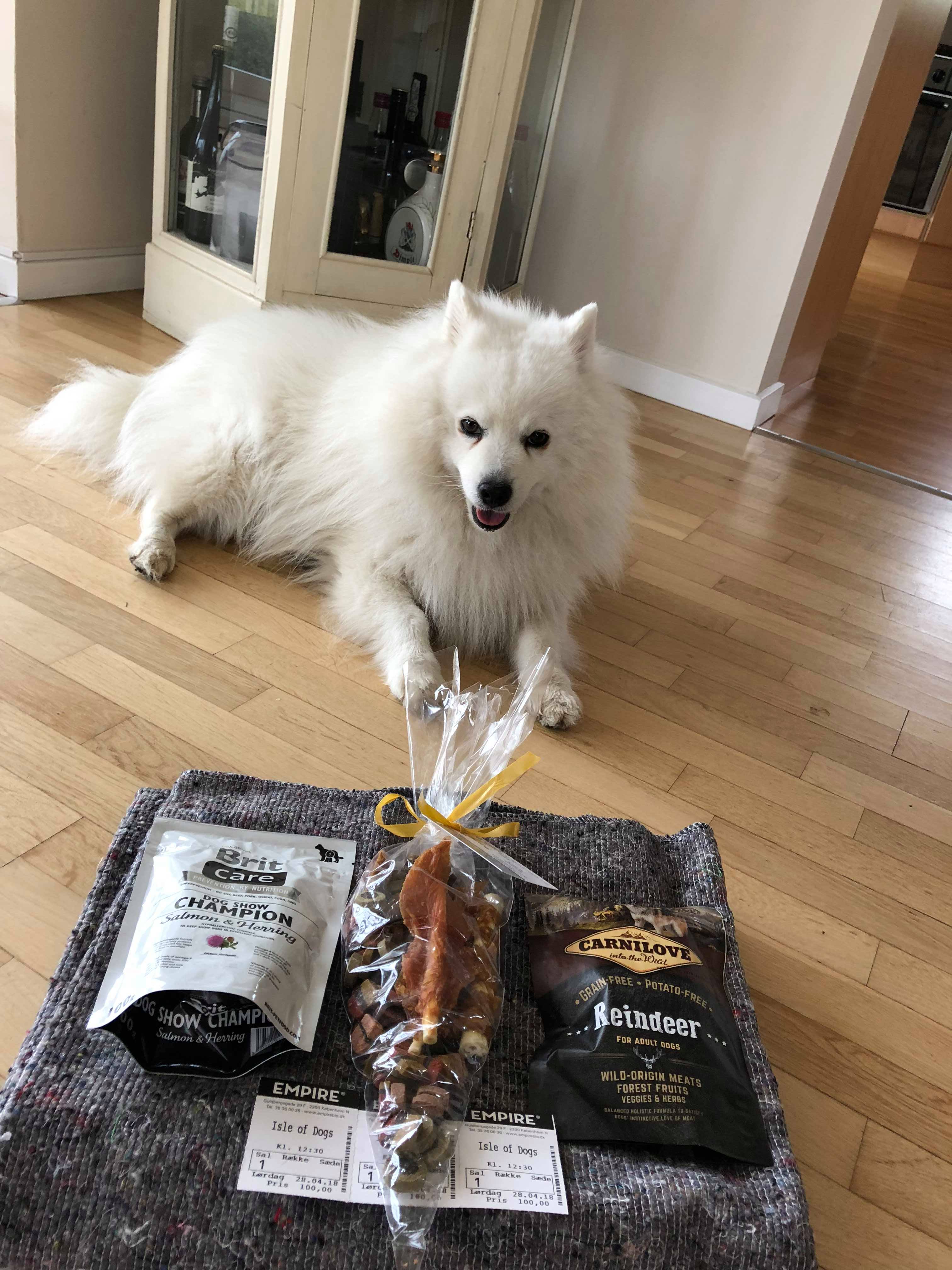 Went to a prerelease viewing of Isle of Dogs here in Denmark, where