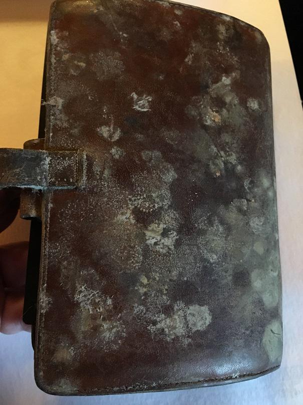 Can a waterdamaged, leather Filofax be saved after fungusattack? r/filofax