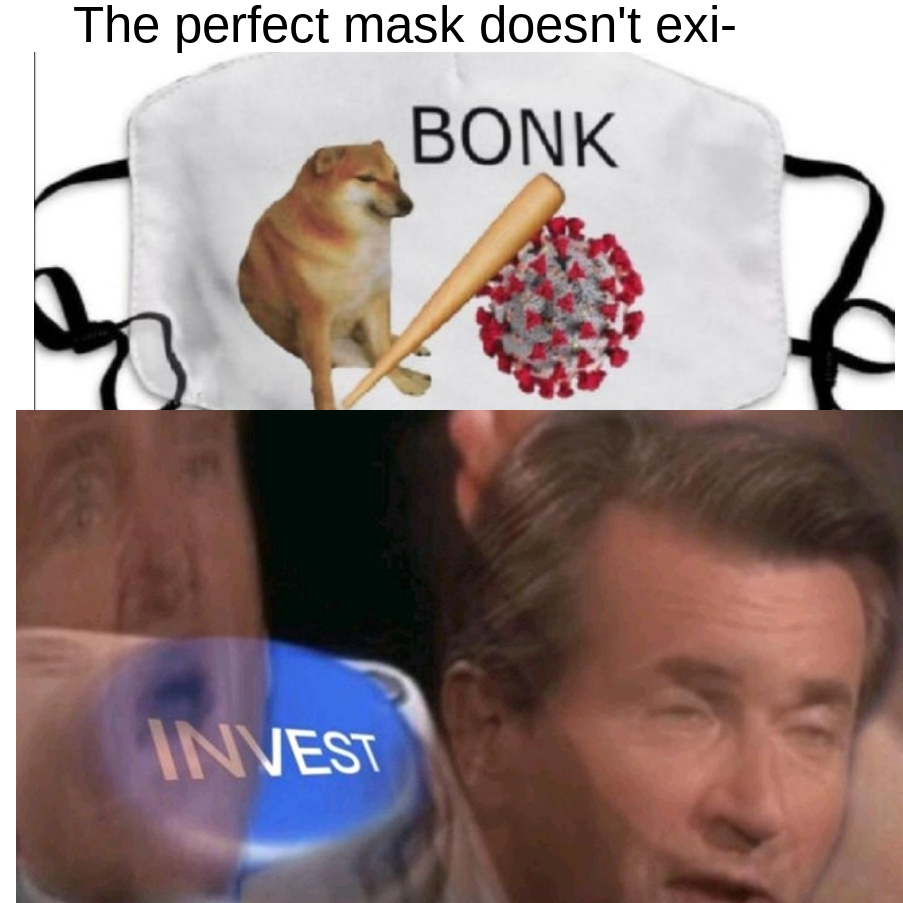 best mask ever r/memes