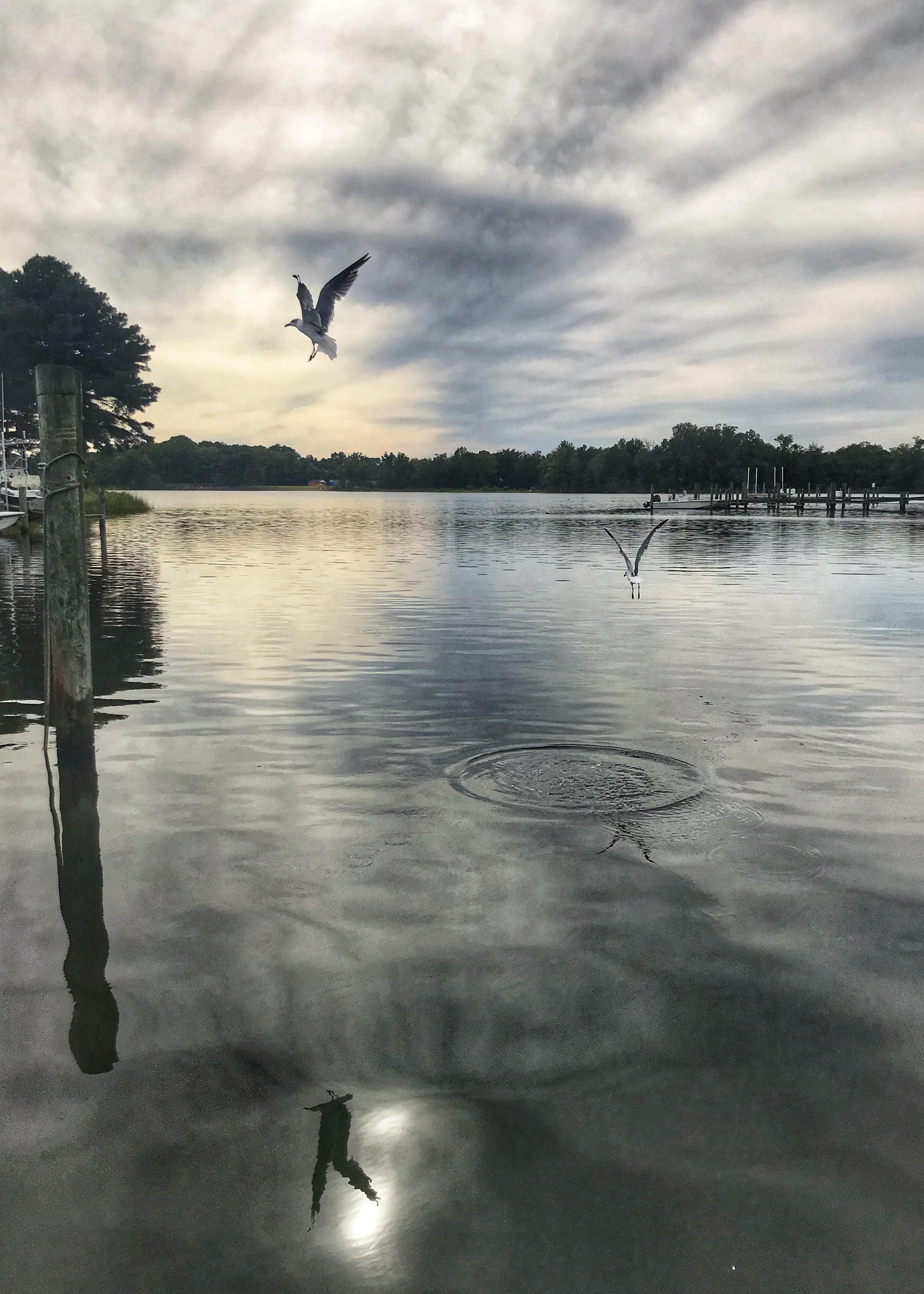 Indian Creek, Kilmarnock r/Virginia