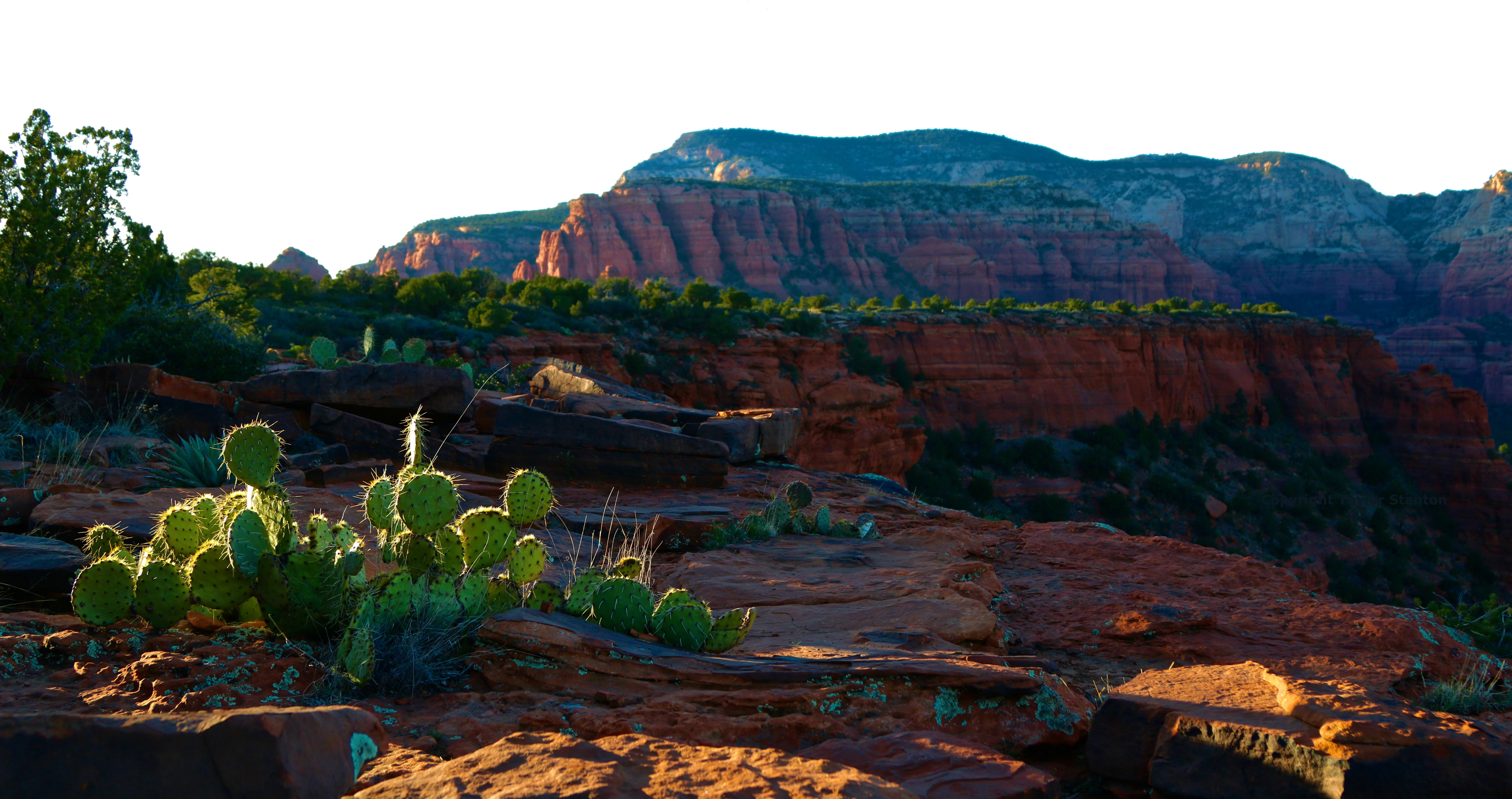 April is the best time to visit Arizona. Temperatures are moderate, and