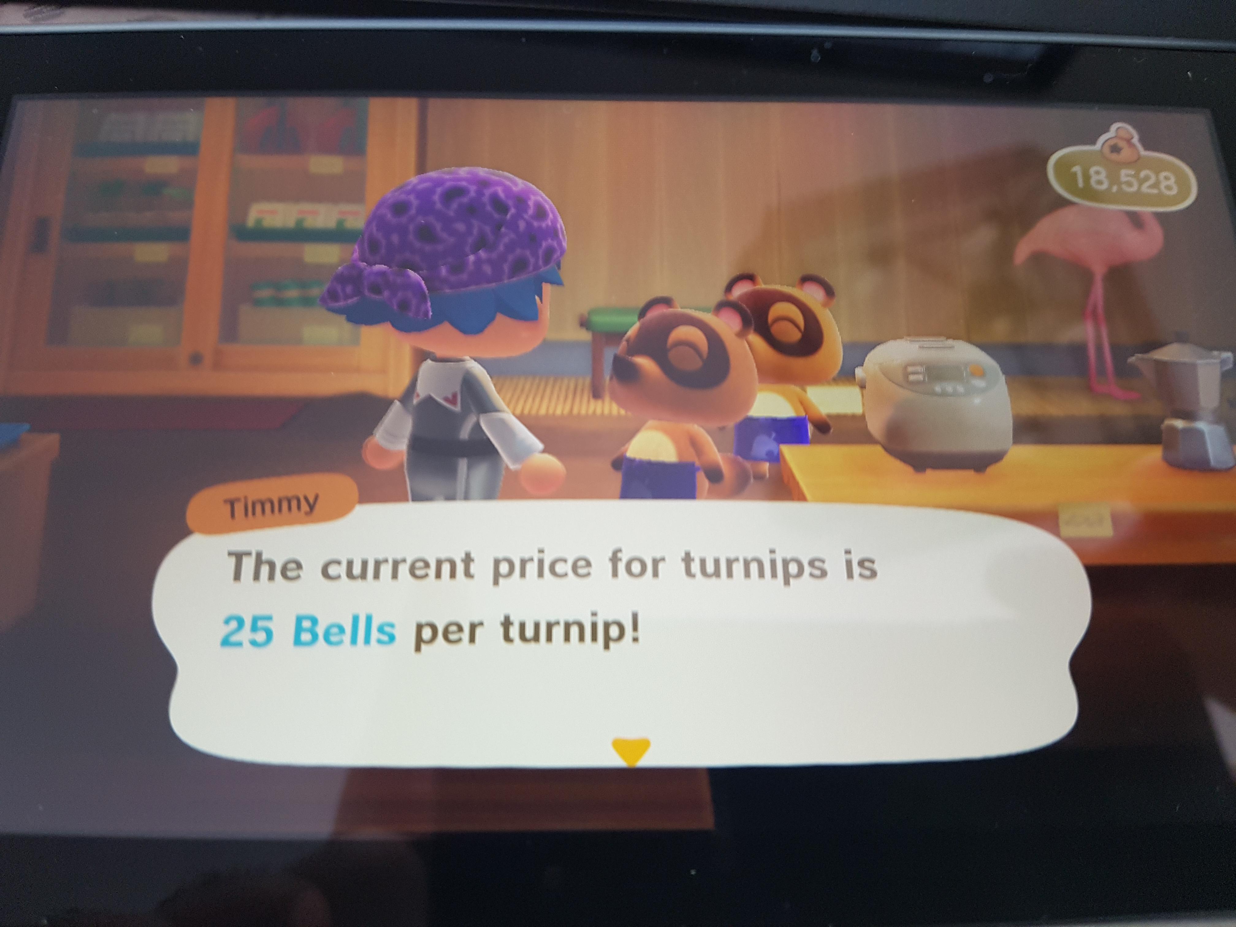 Everyone keeps talking about their turnip prices... r/AnimalCrossing