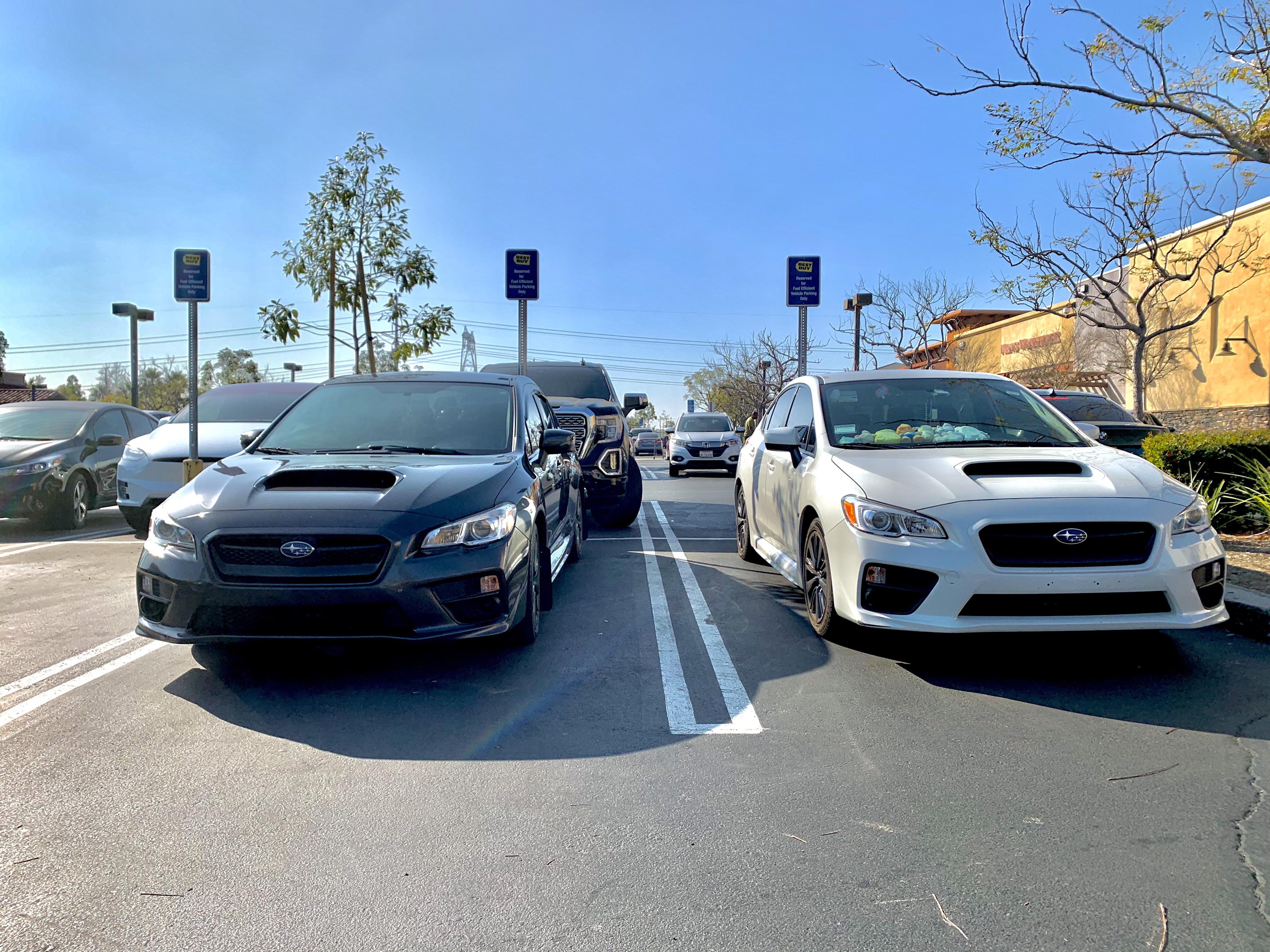 Found a parking buddy. Sign reads (reserved for fuel efficient vehicle