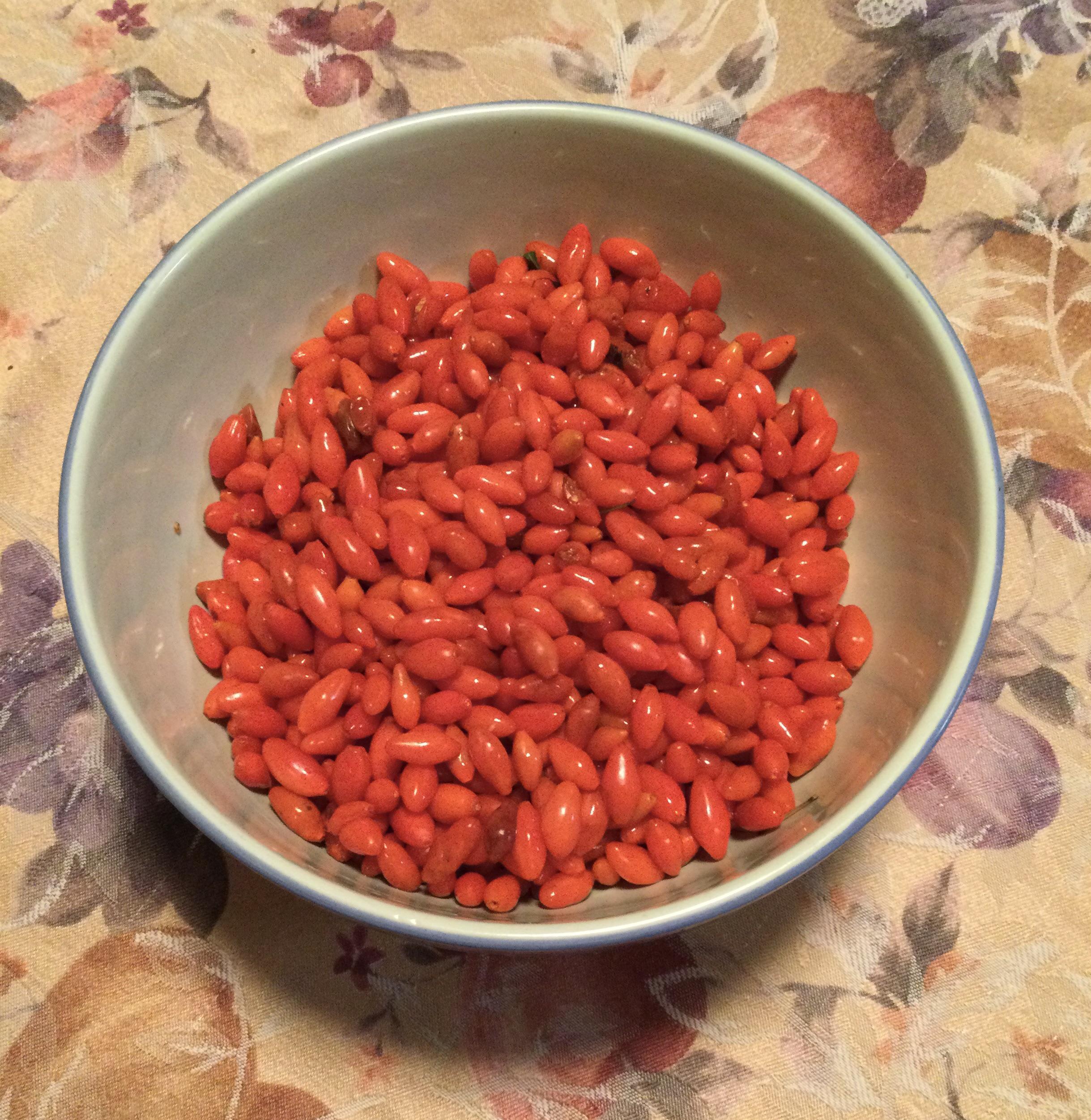 Harvested a pound of goji berries r/VAGardening