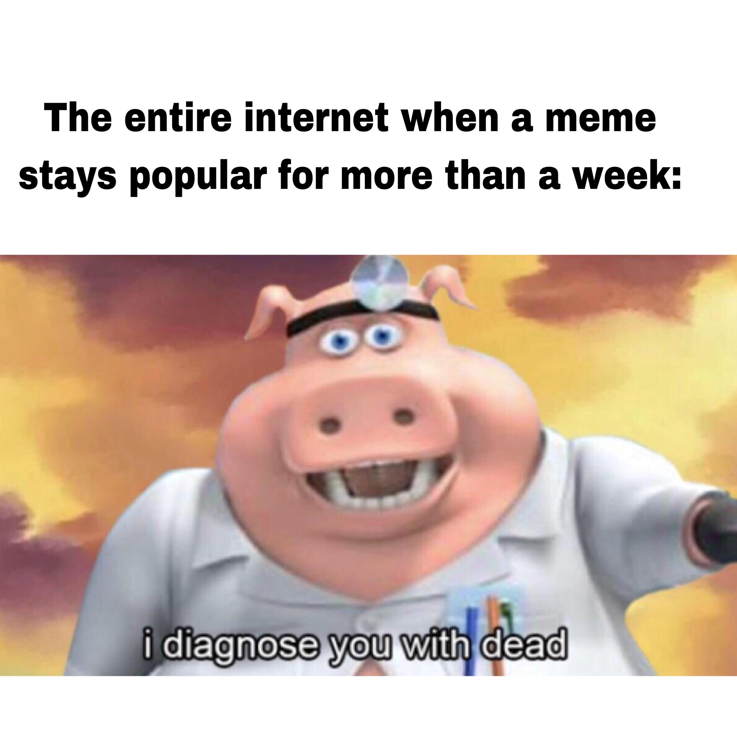 I diagnose this humorous captioned photograph on the inter webs with