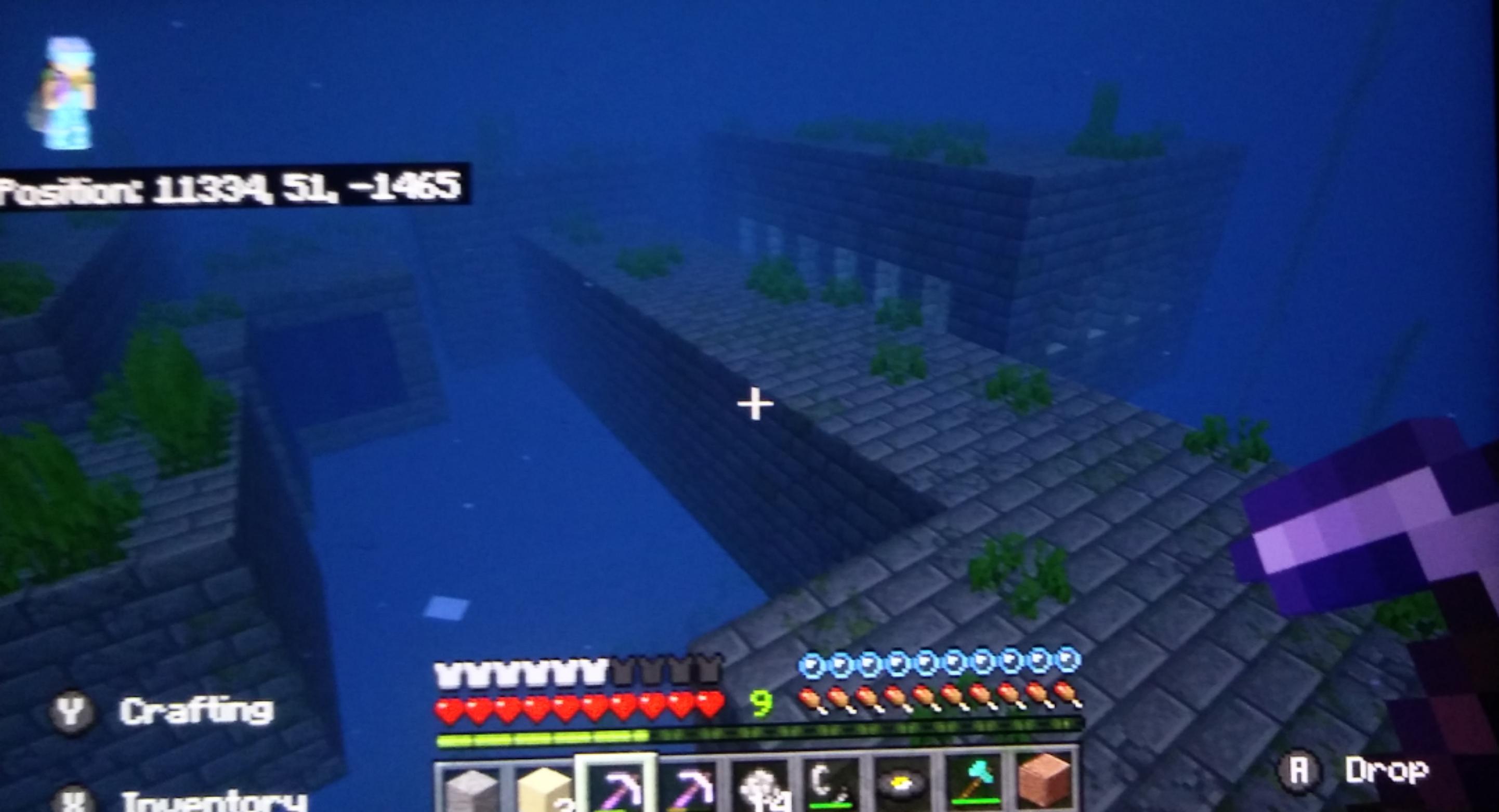 While trying to make my way 100,000 blocks from spawn I found this
