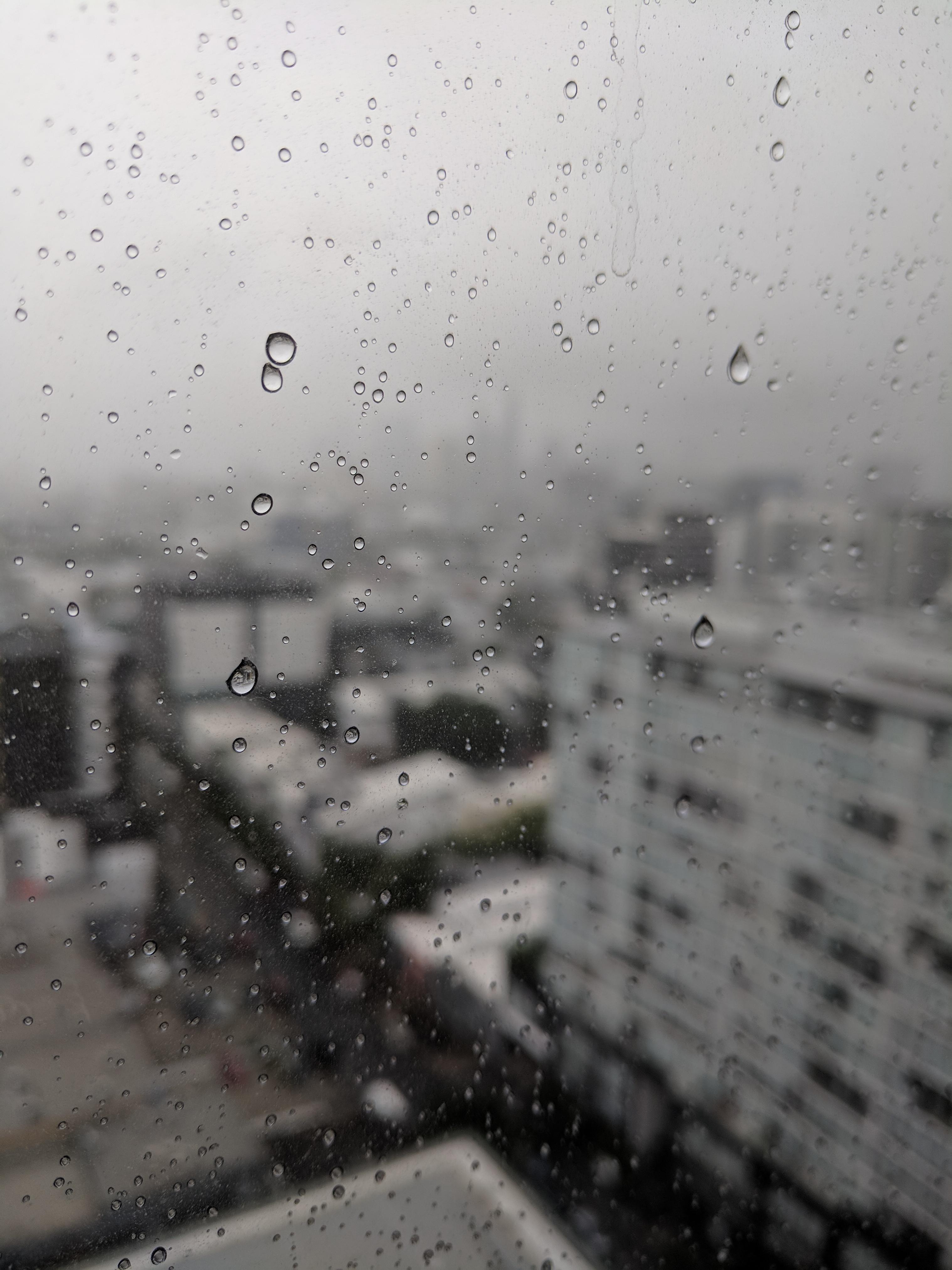 Rainy day in Brisbane, Australia. r/raining