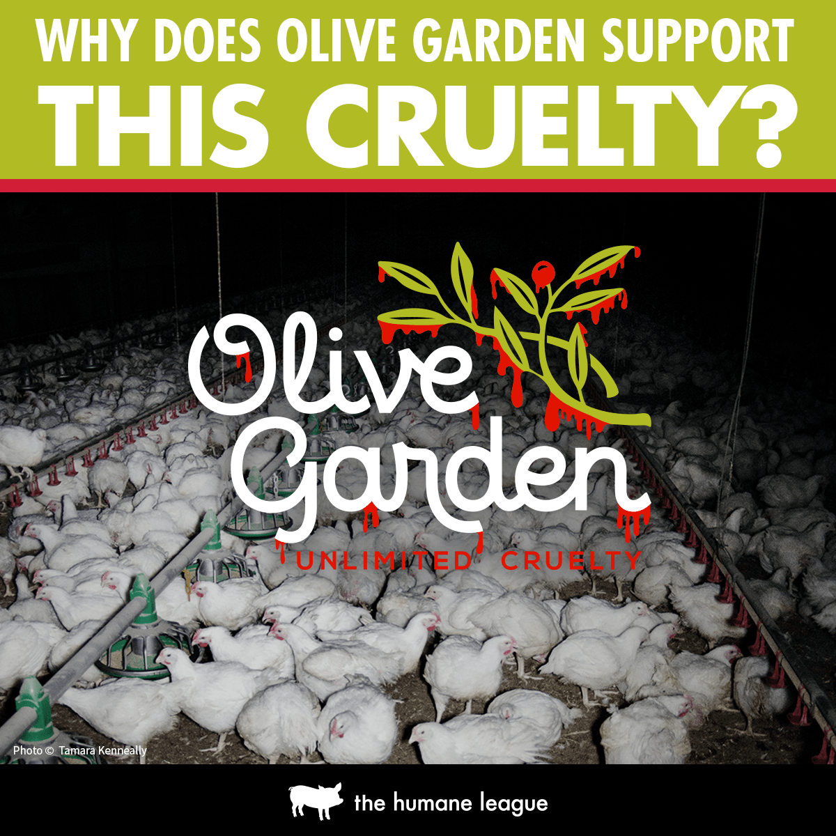 The Humane League's current campaign is against Olive Garden! Spread