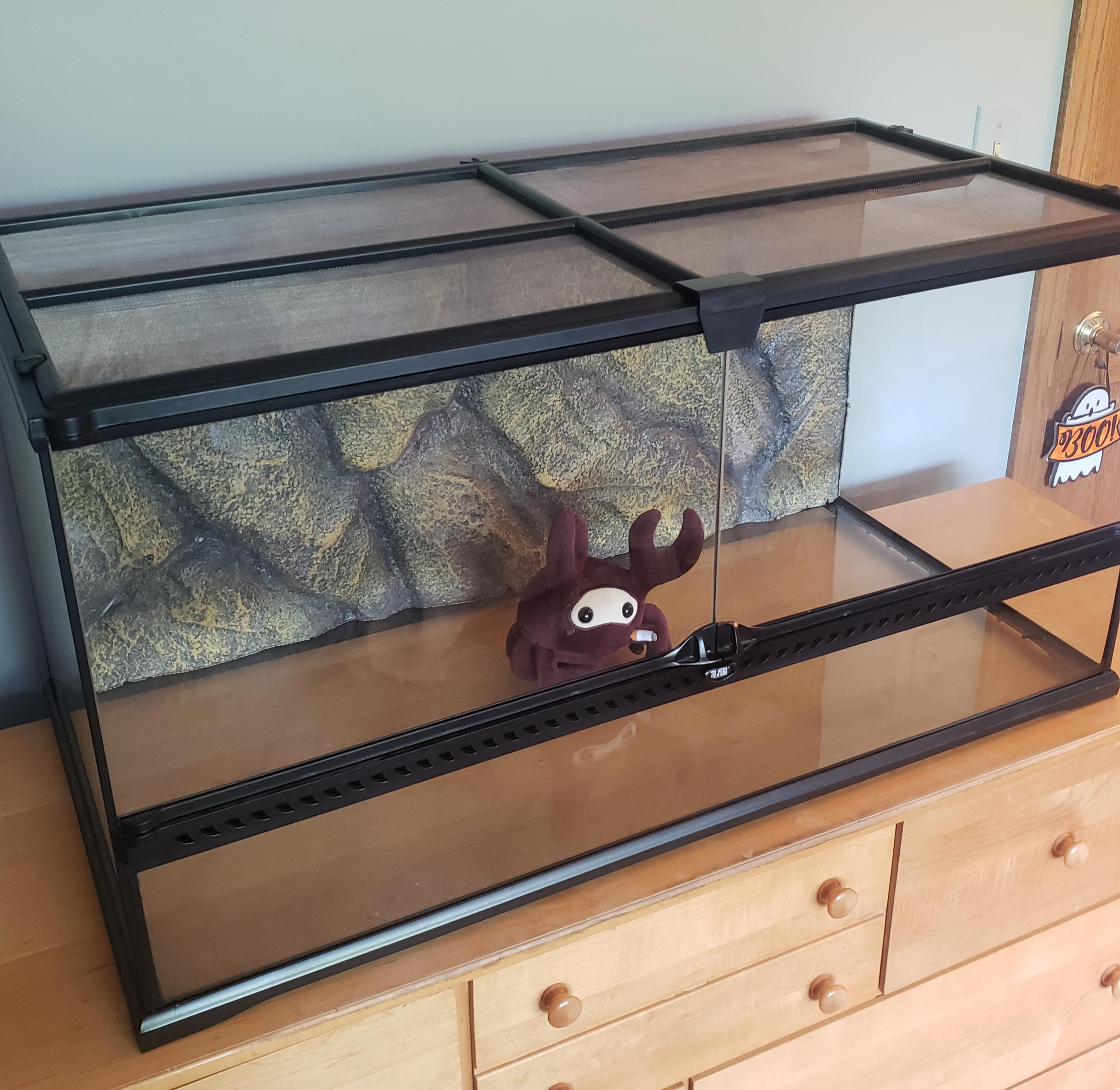 Is a 40 gallon terrarium okay for a SpyCrab? r/tf2
