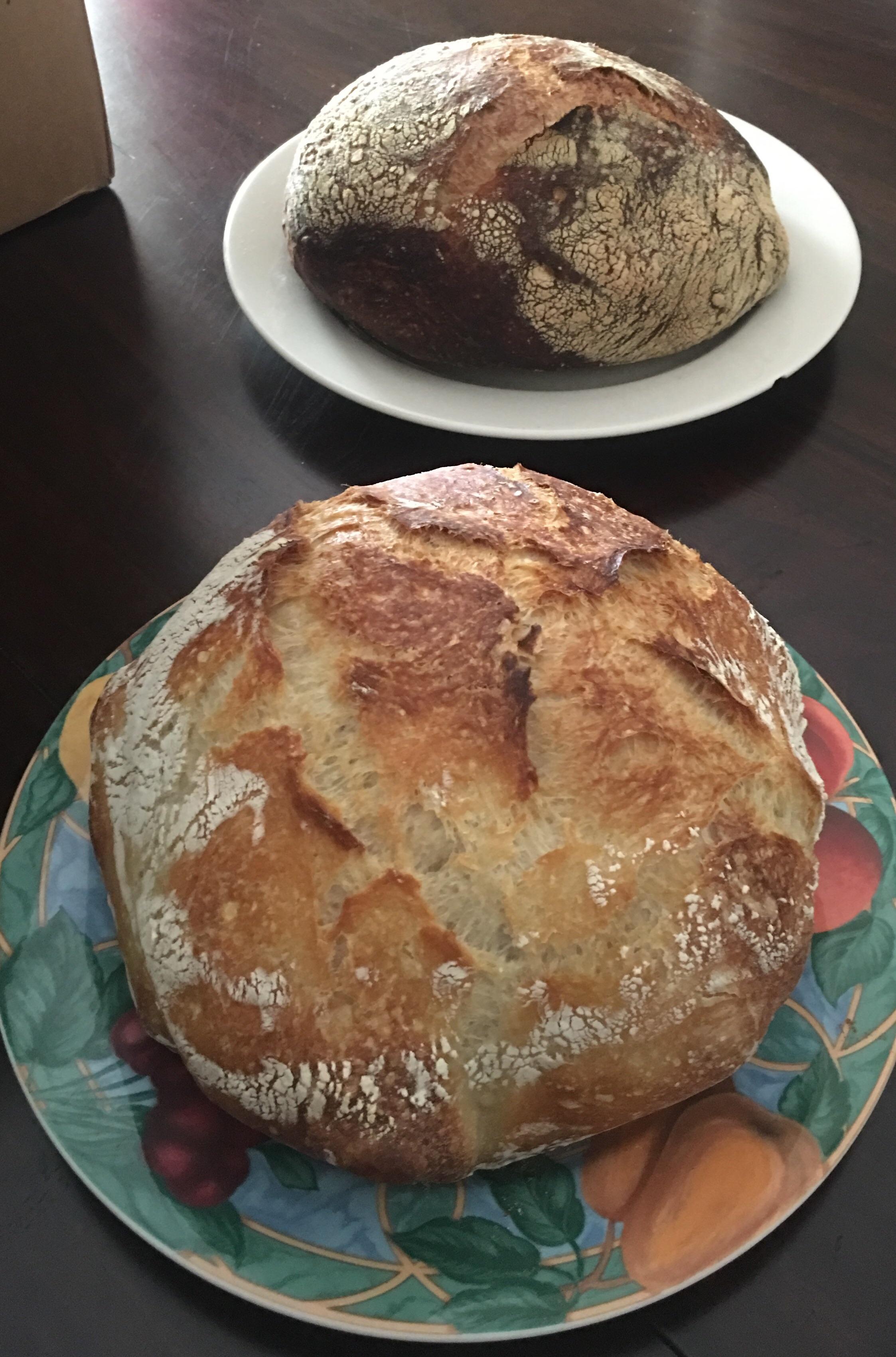 Dutch Oven Vs Bread Cloche at Amy Sites blog