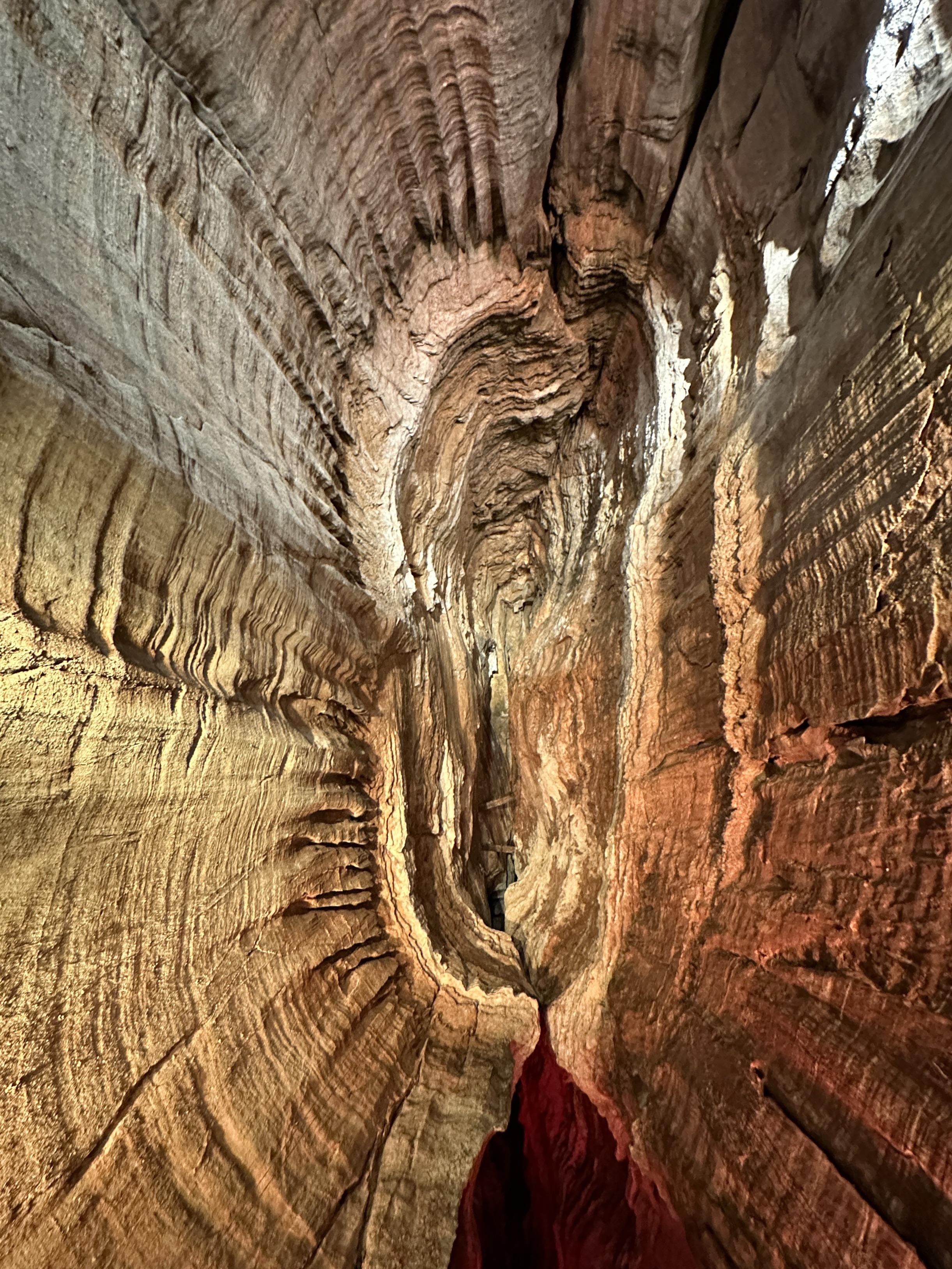 Ruby Falls Cave, Chattanooga, Tennessee. [OC] [2442x3256] r/EarthPorn