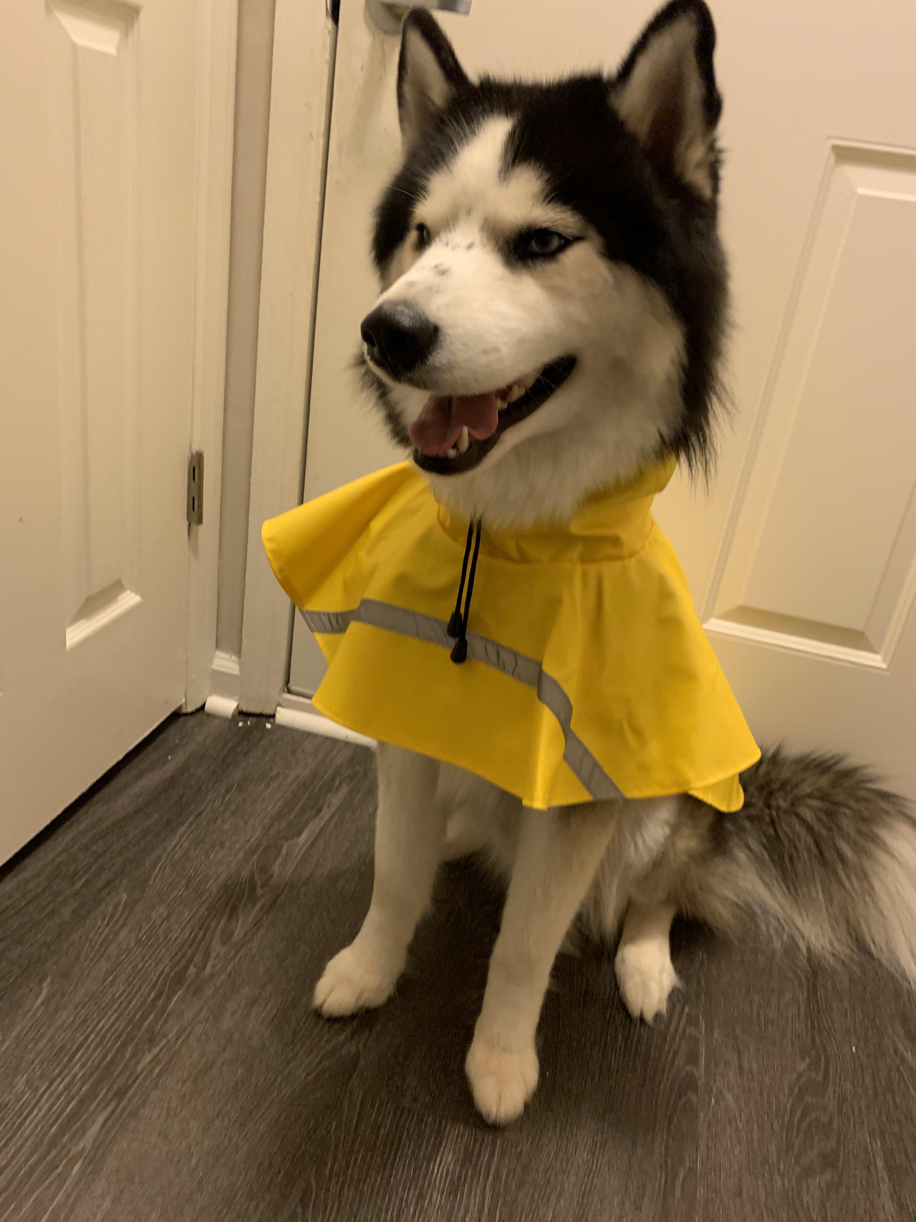 His raincoat is a little too small and makes his head look massive r