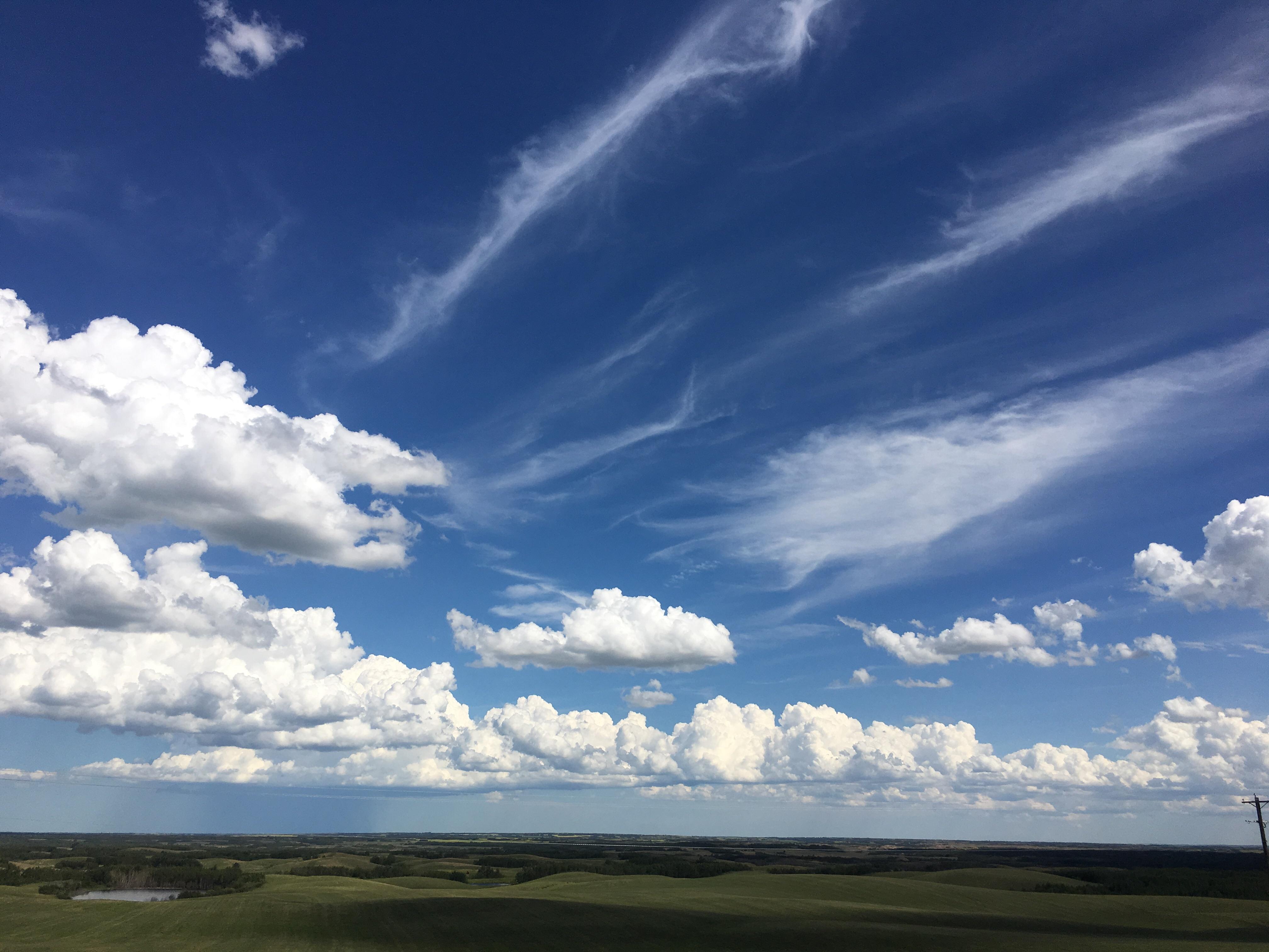 Beautiful land of Viking, Alberta [4032x3024] (OC) r/EarthPorn