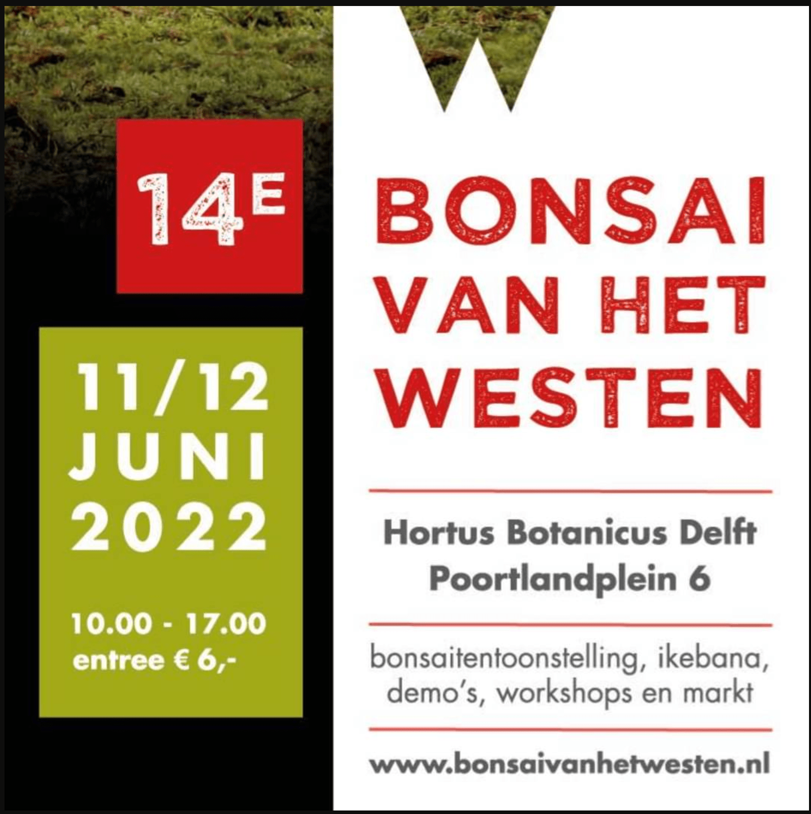 Dutch bonsai exhibition with demos, and traders tomorrow in