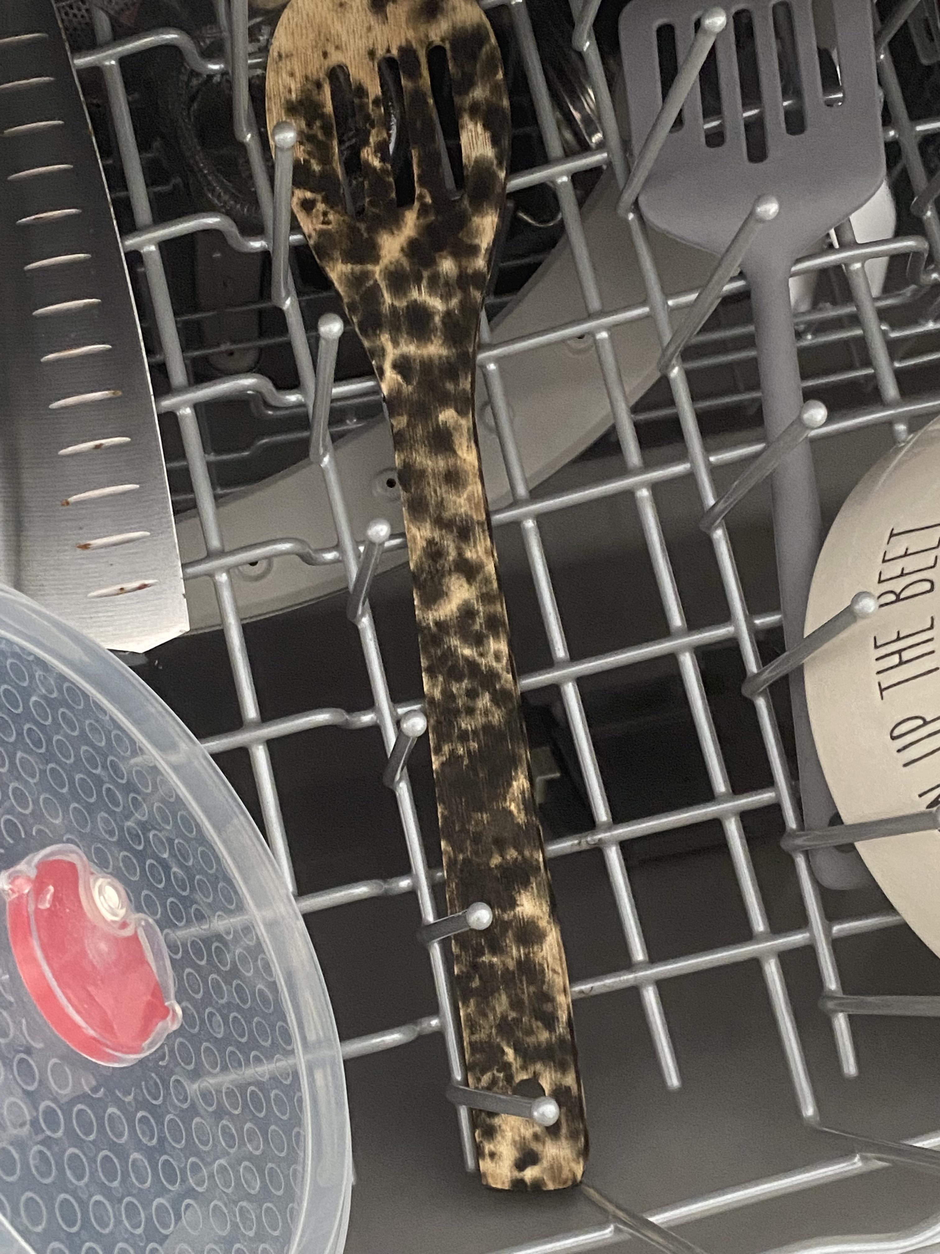 Should I be concerned? Left clean/heat dried dishes in dishwasher for 2 days and found this