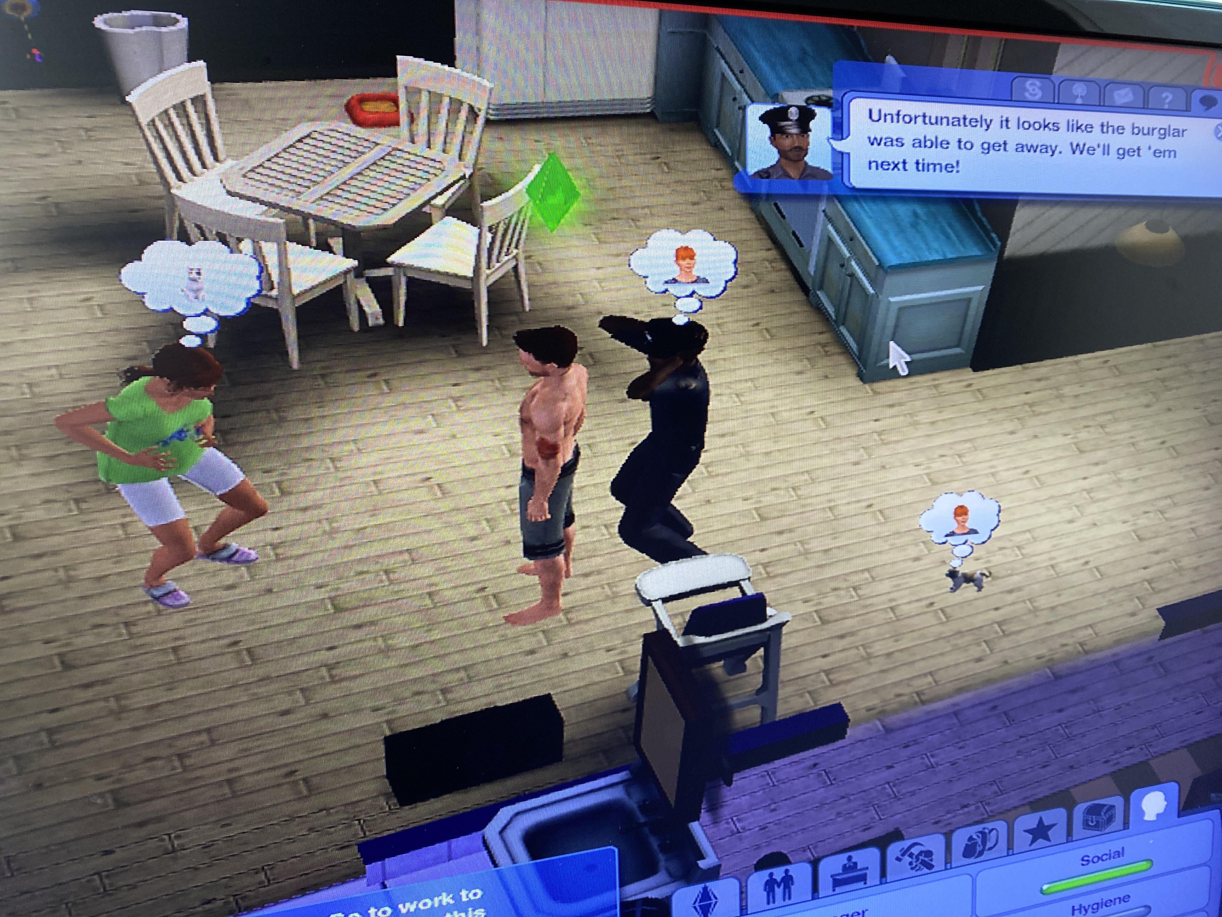 House just got robbed, Sim went into labour at the same time. r/Sims3